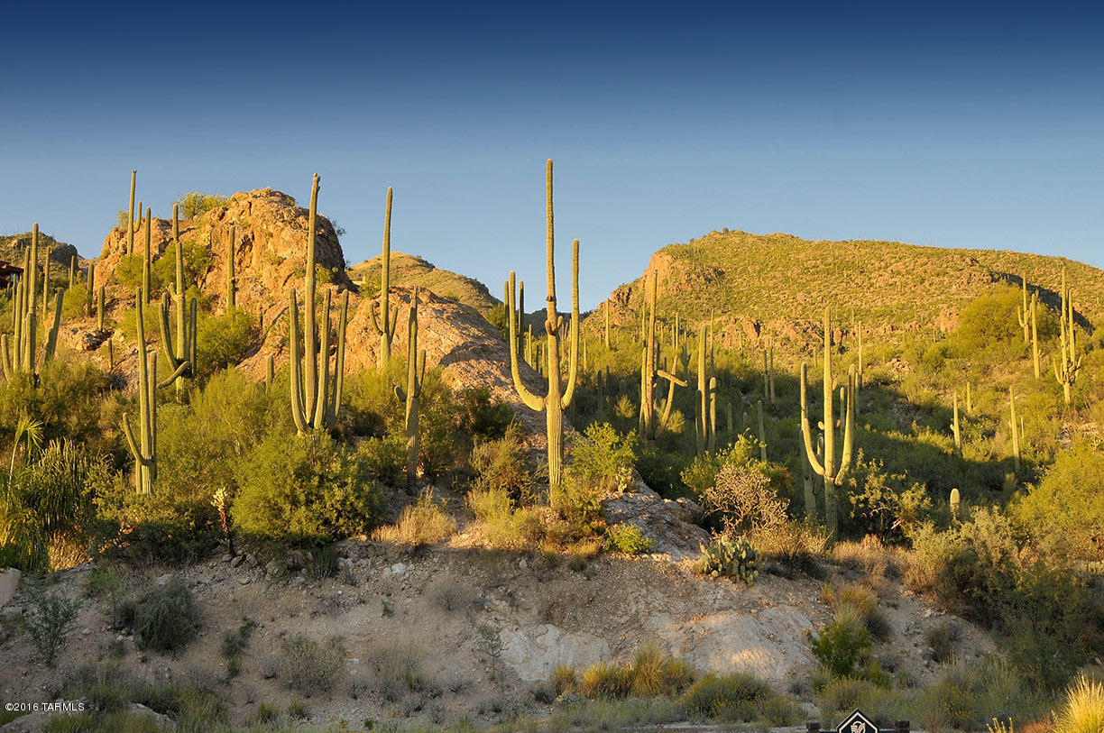 Ventana Country Club Estates (1-67) - Land