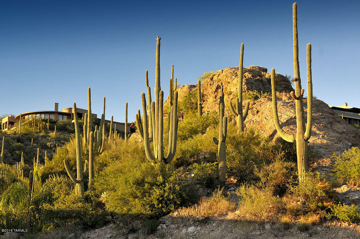Ventana Country Club Estates (1-67) - Land