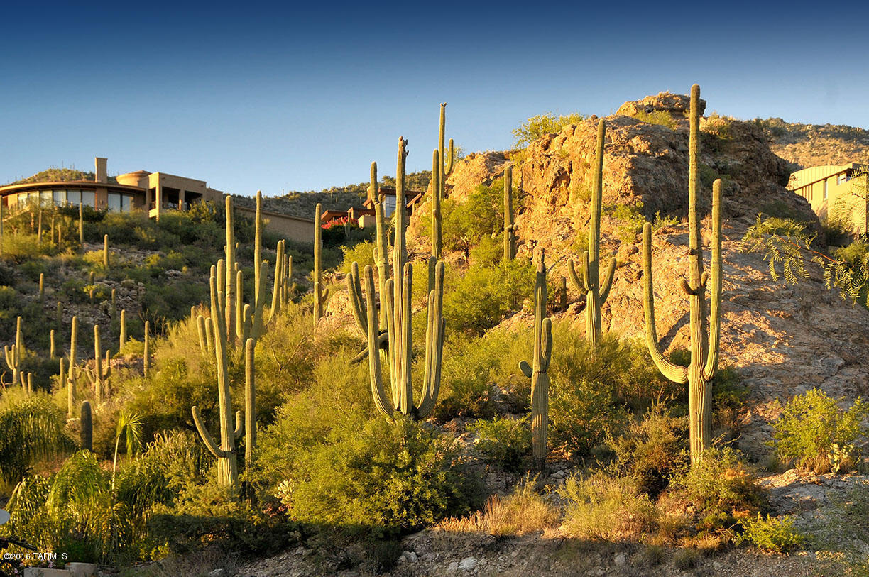 Ventana Country Club Estates (1-67) - Land