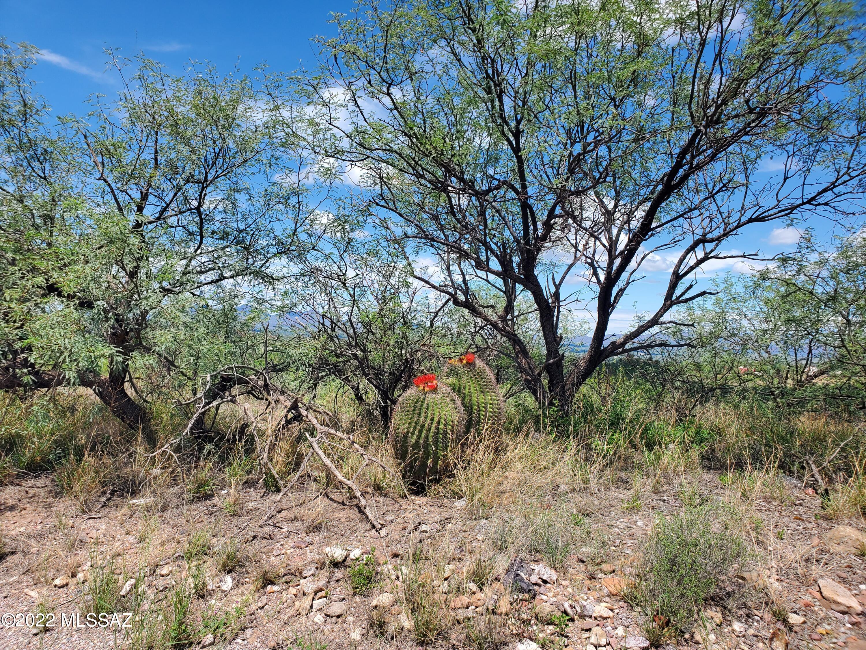 Rio Rico Ranchettes 11 - Land