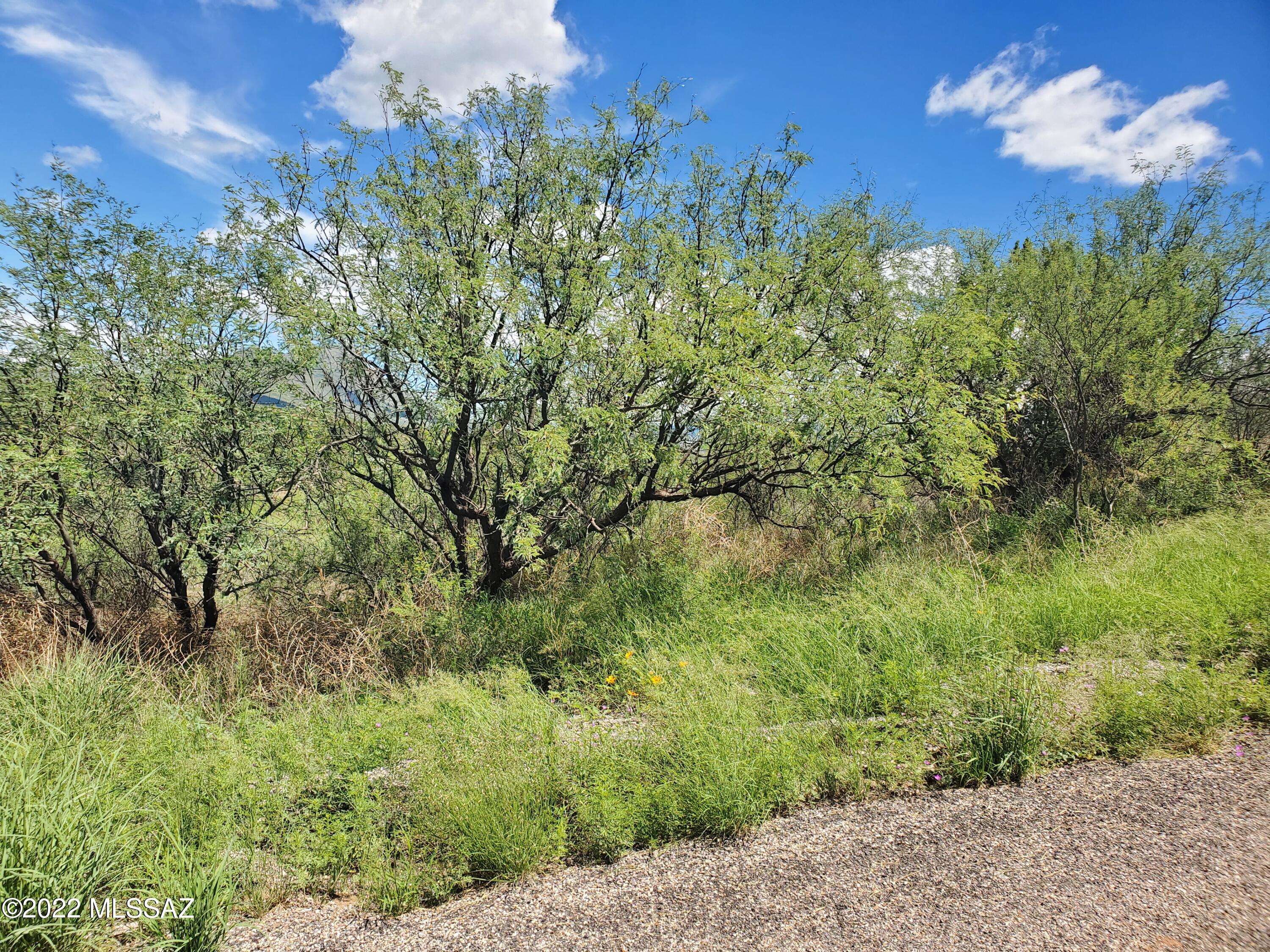 Rio Rico Ranchettes 11 - Land