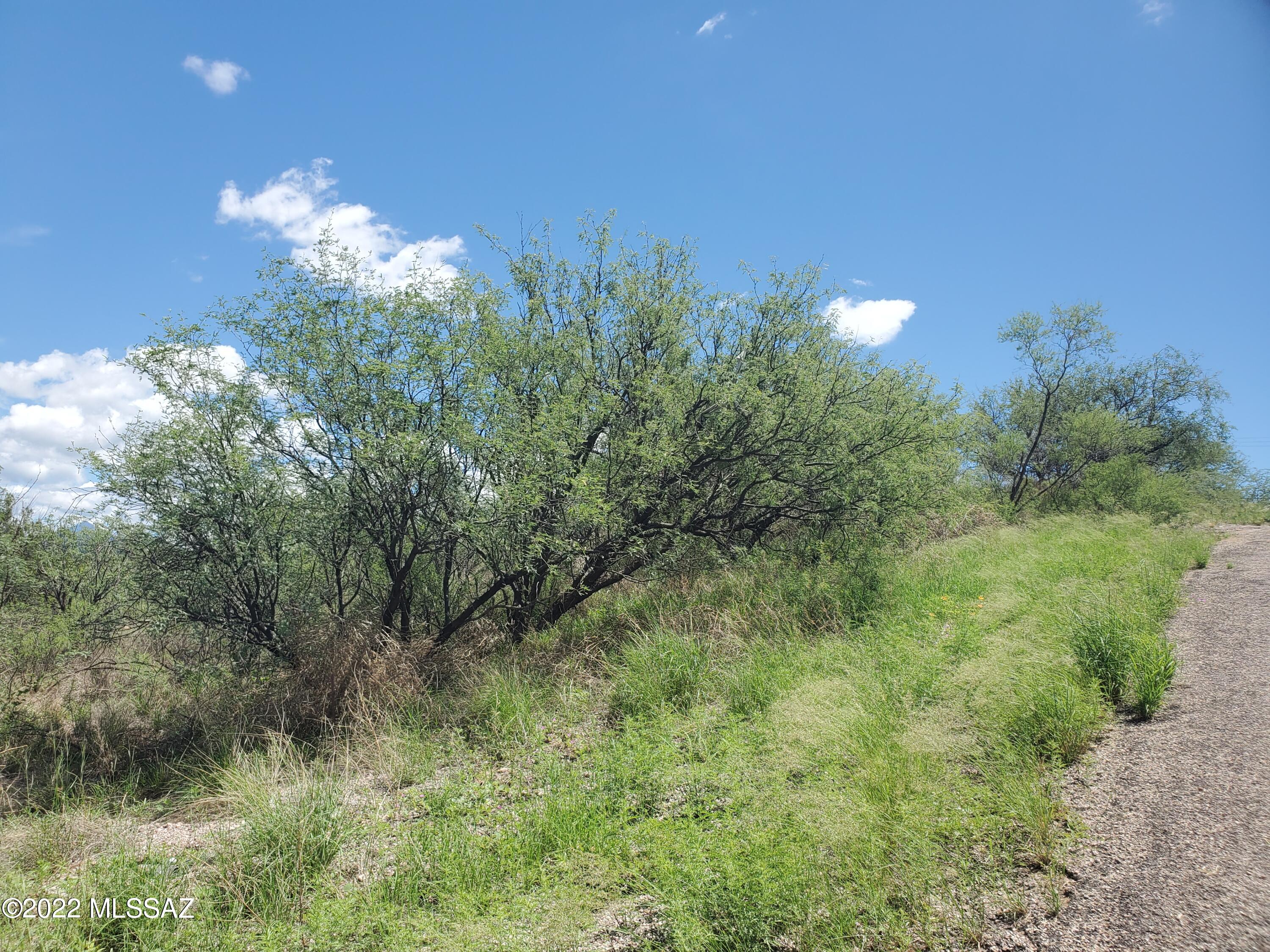 Rio Rico Ranchettes 11 - Land