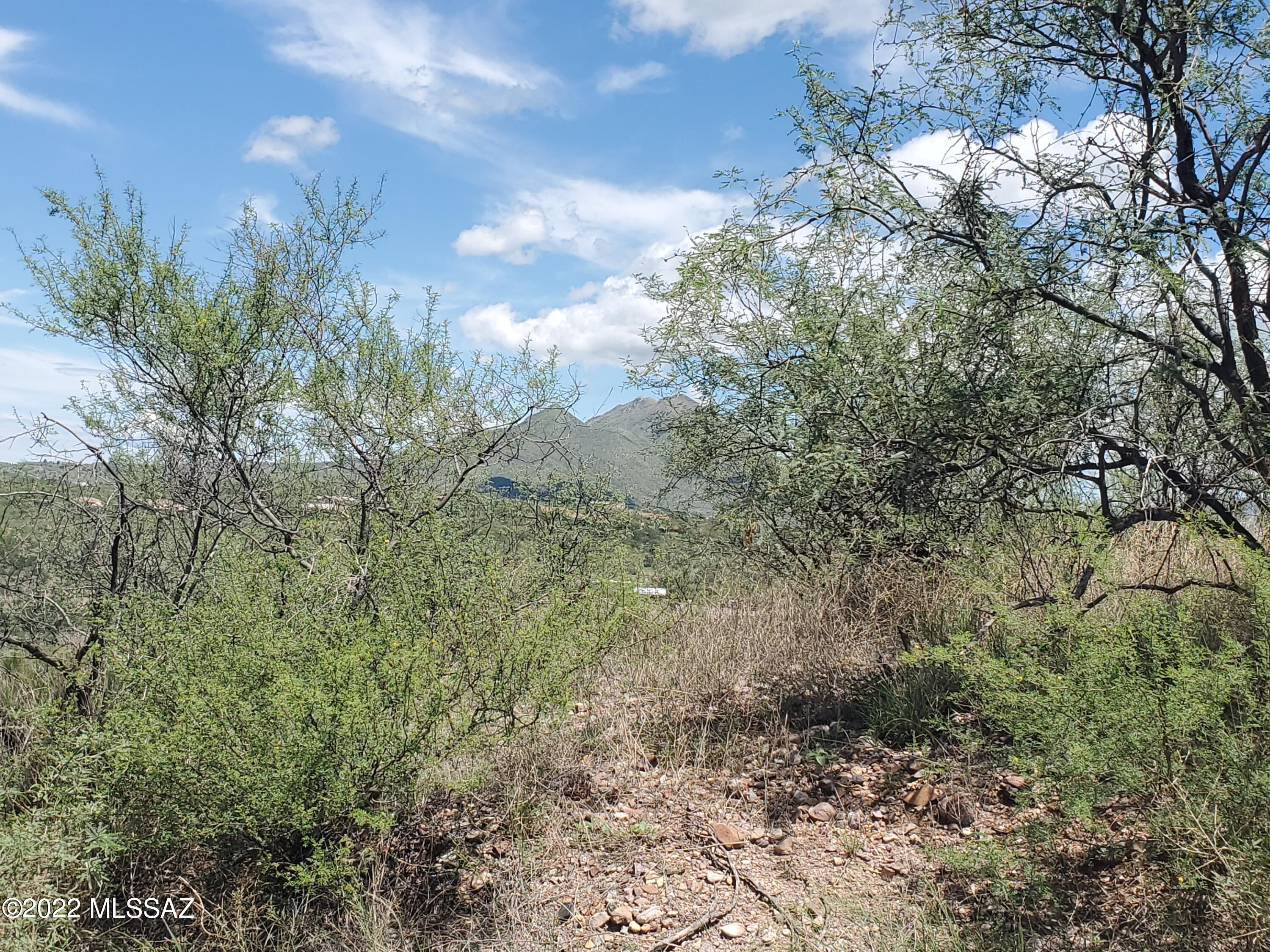 Rio Rico Ranchettes 11 - Land