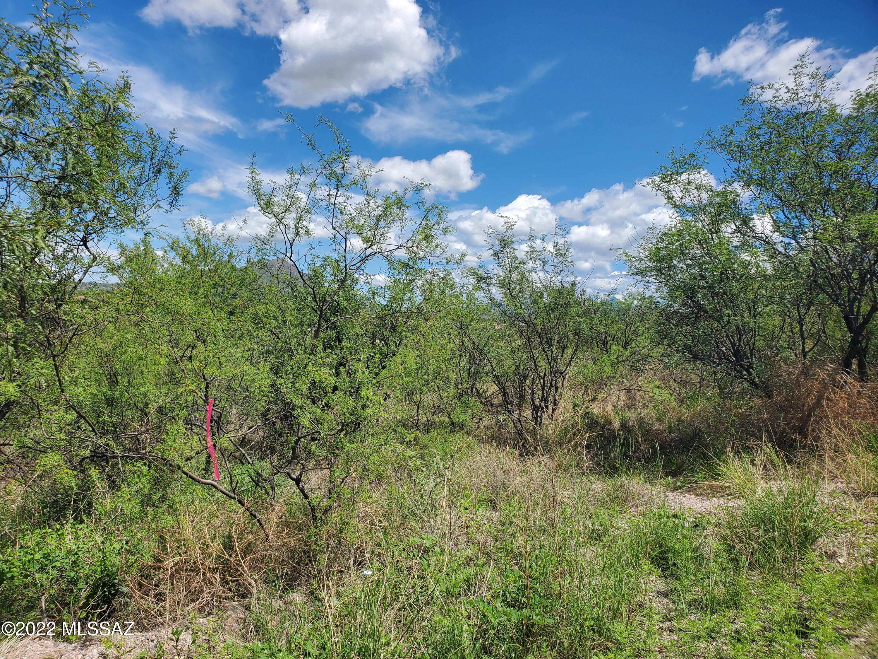 Rio Rico Ranchettes 11 - Land