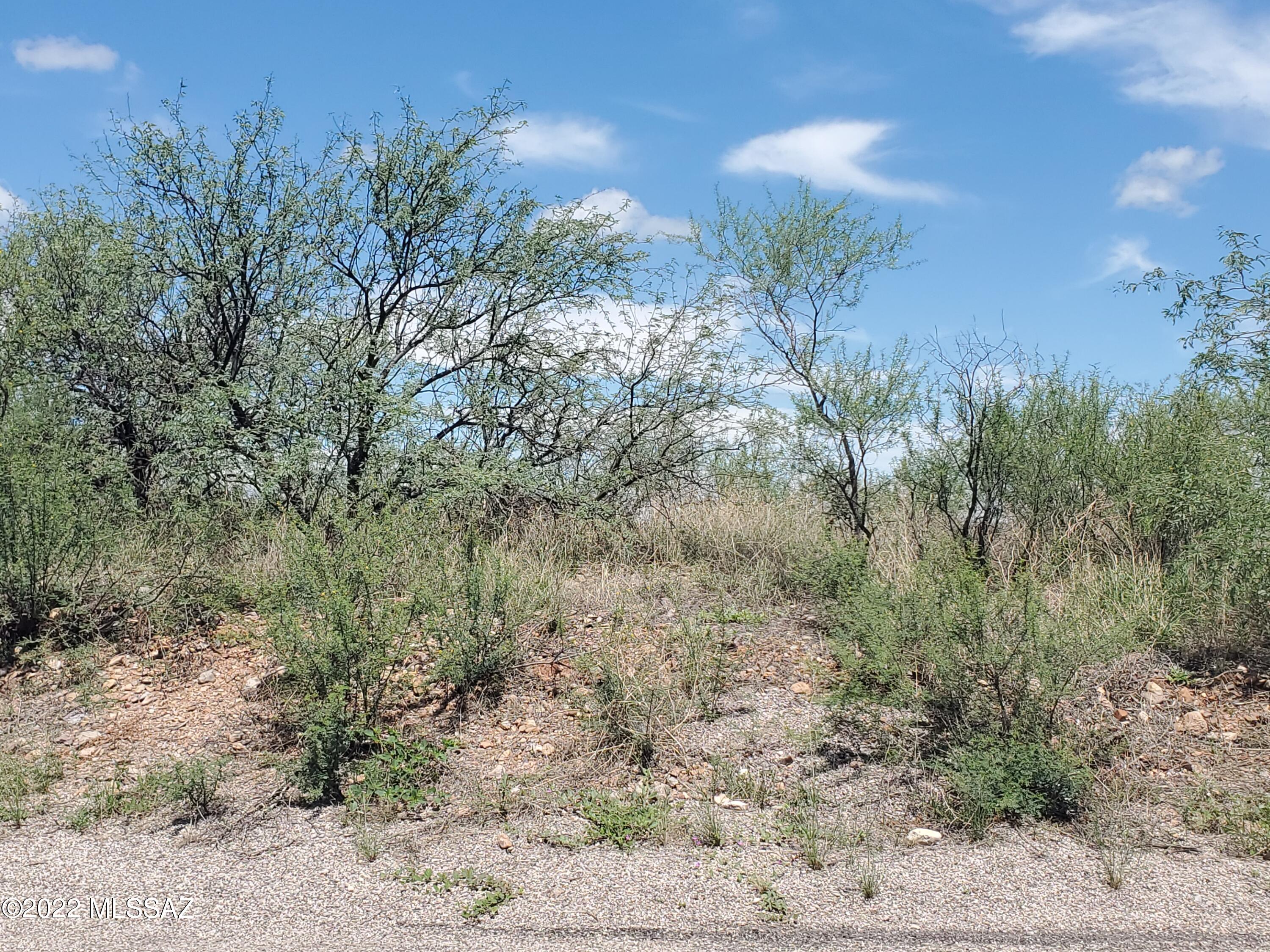 Rio Rico Ranchettes 11 - Land