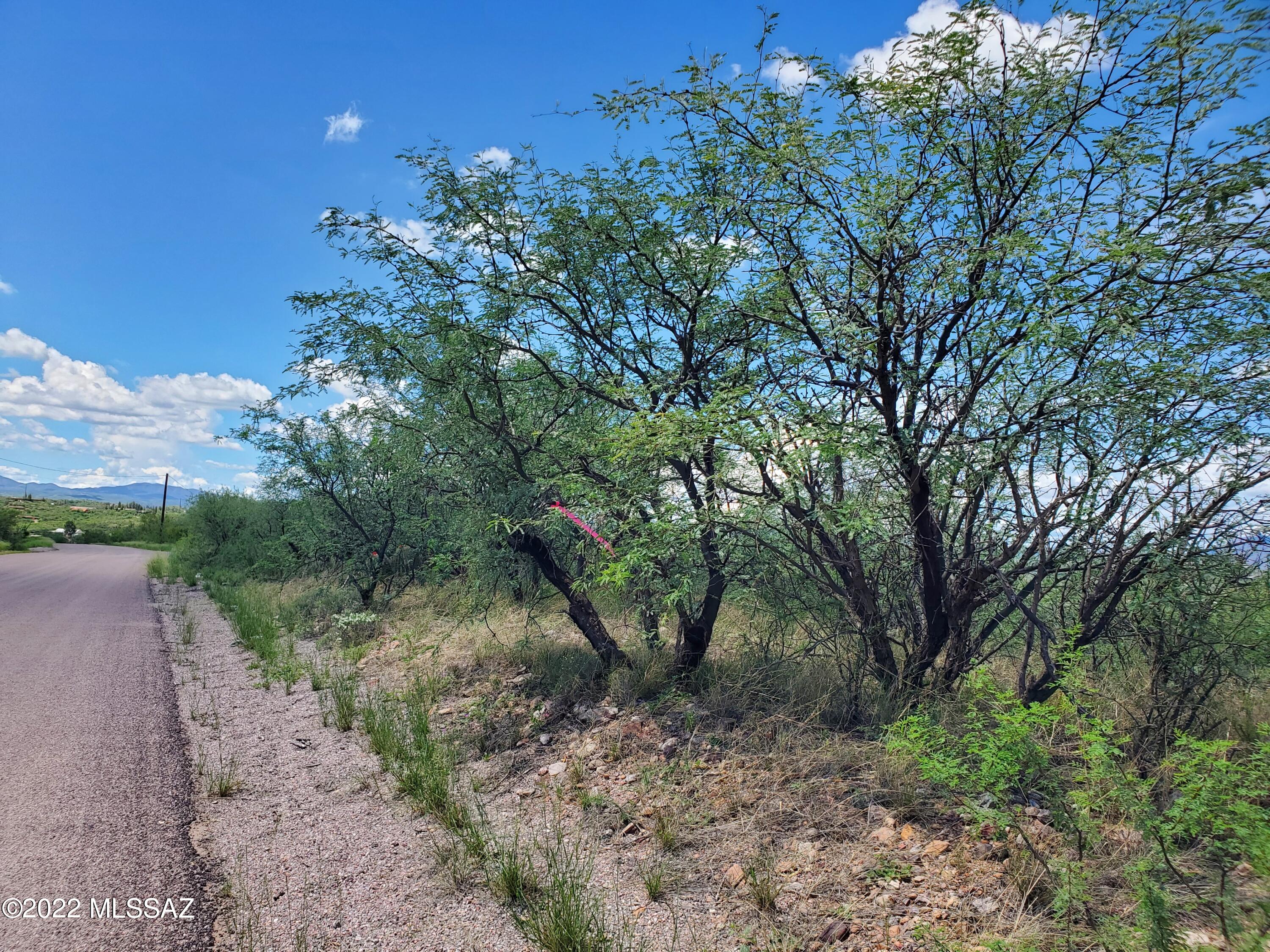 Rio Rico Ranchettes 11 - Land