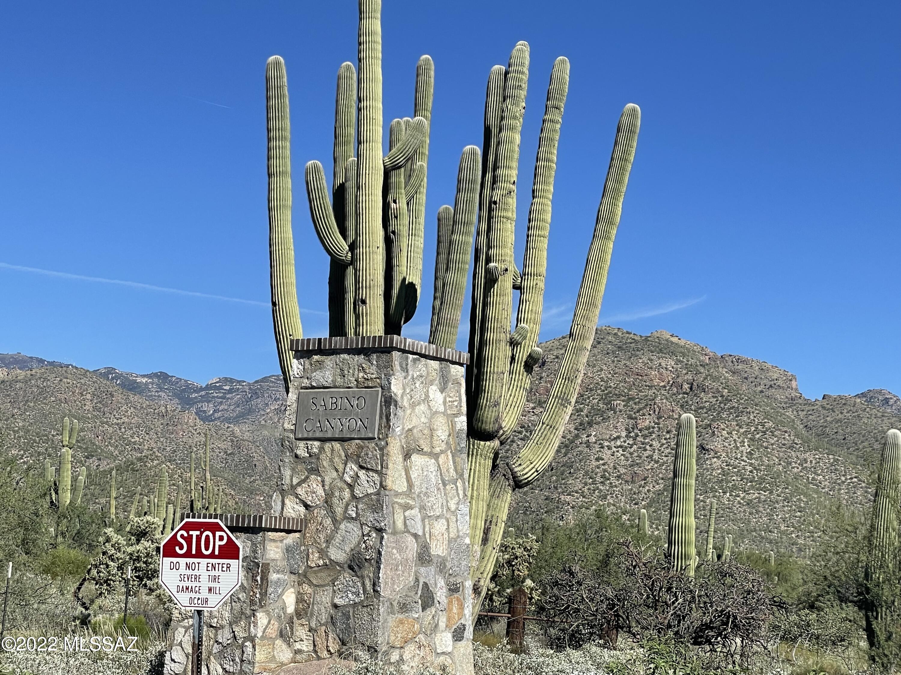 Encanto Canyon II (68-135) - Residential