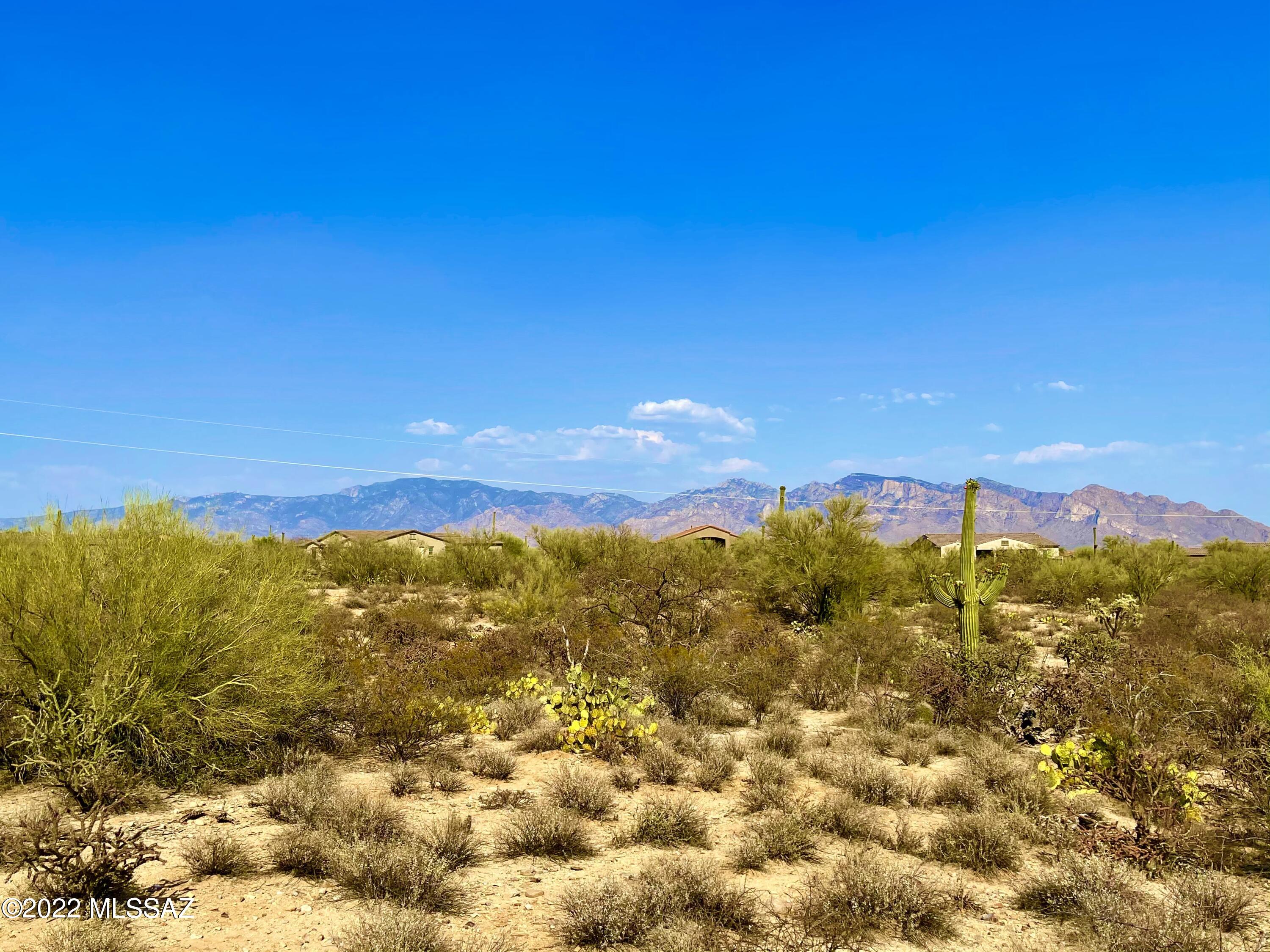 4.5 acres of secluded, pristine desert. Panoramic mountain views, sweeping city views, spectacular sunsets. High flat lot easy to build on. There are a number of local hiking and horseback trails in the area. Close to Dove Mountain & Shopping at Tangerine & Thornydale. Easy I-10 access.