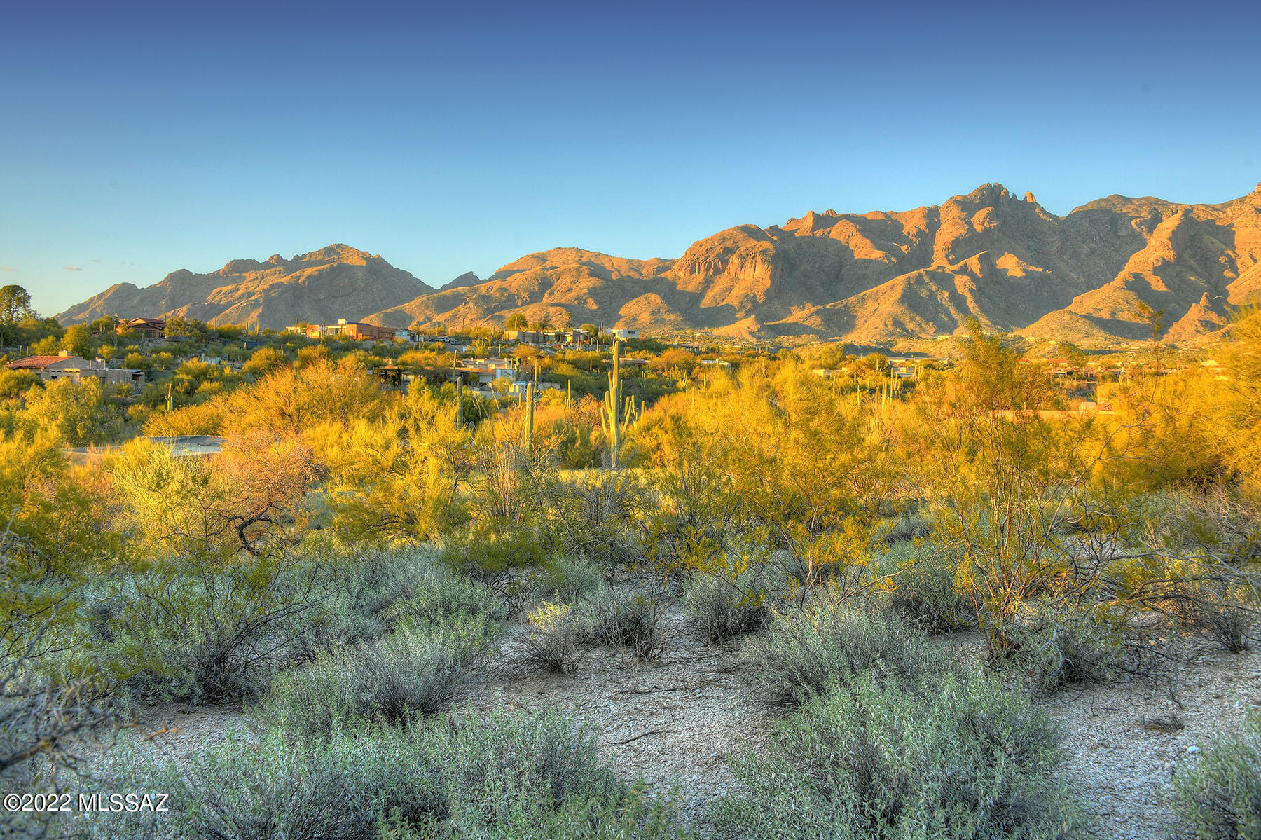 La Paloma Estates (53-68) - Land
