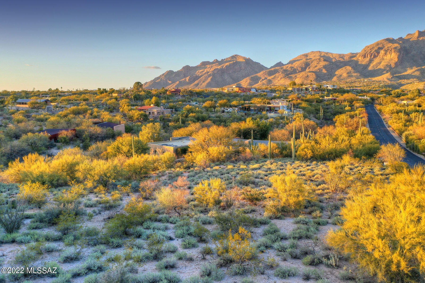 La Paloma Estates (53-68) - Land