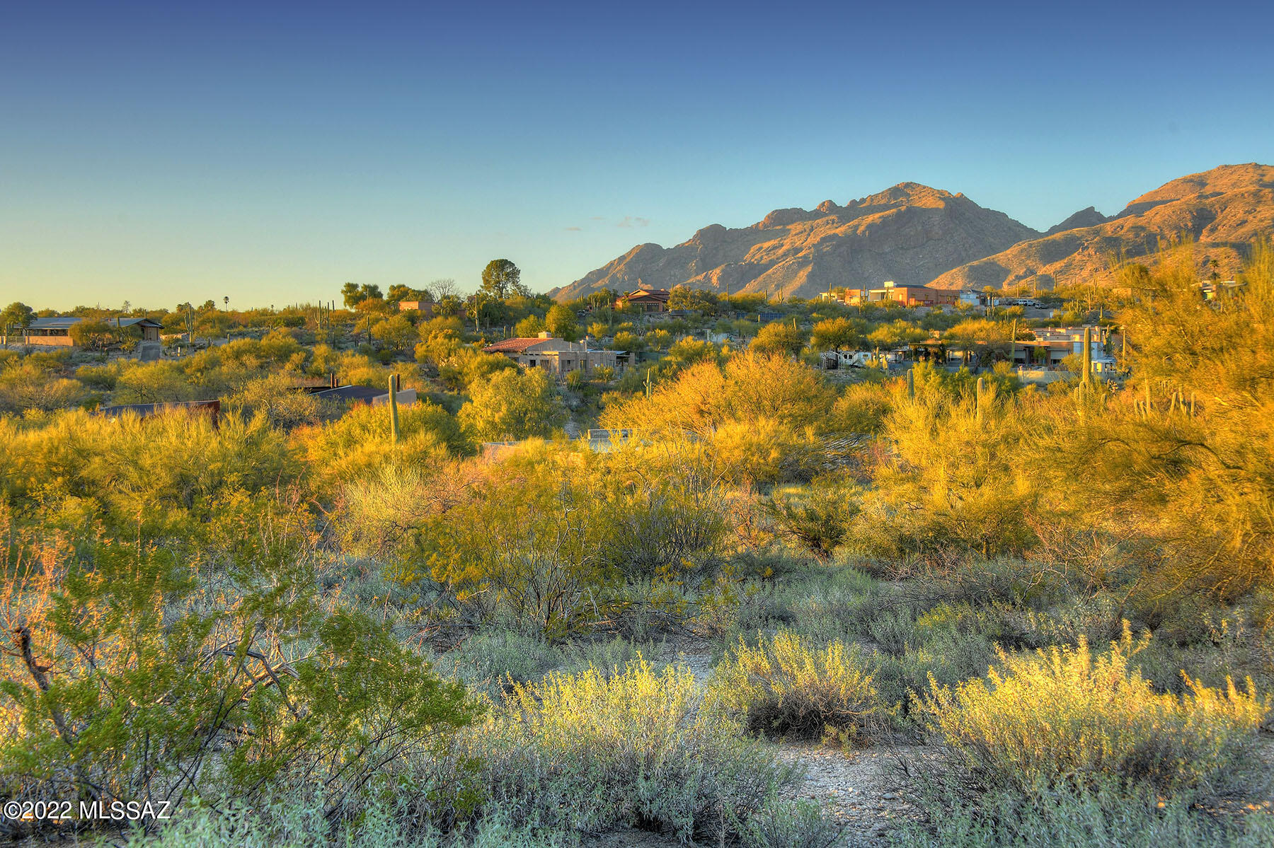 La Paloma Estates (53-68) - Land