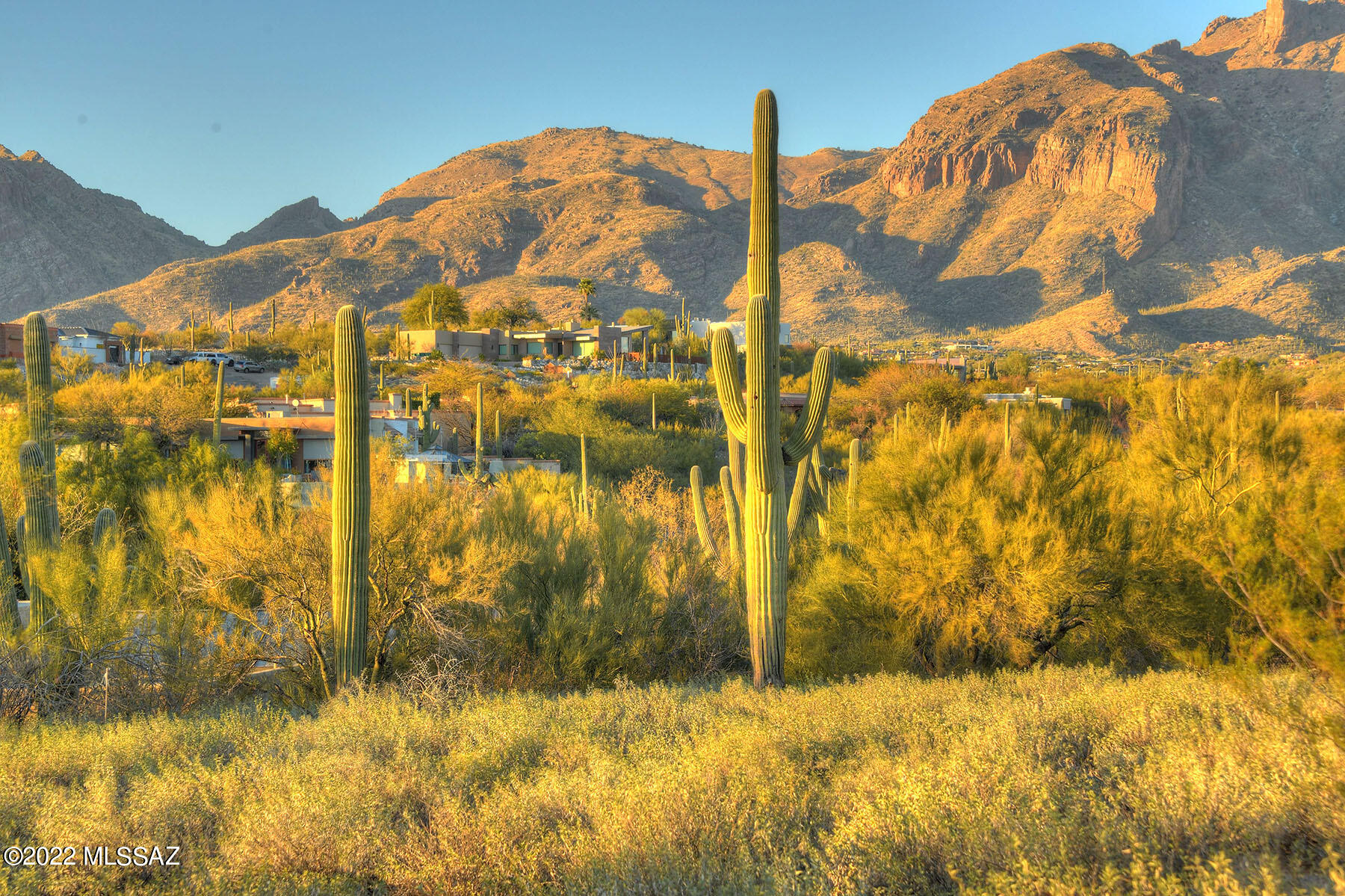 La Paloma Estates (53-68) - Land