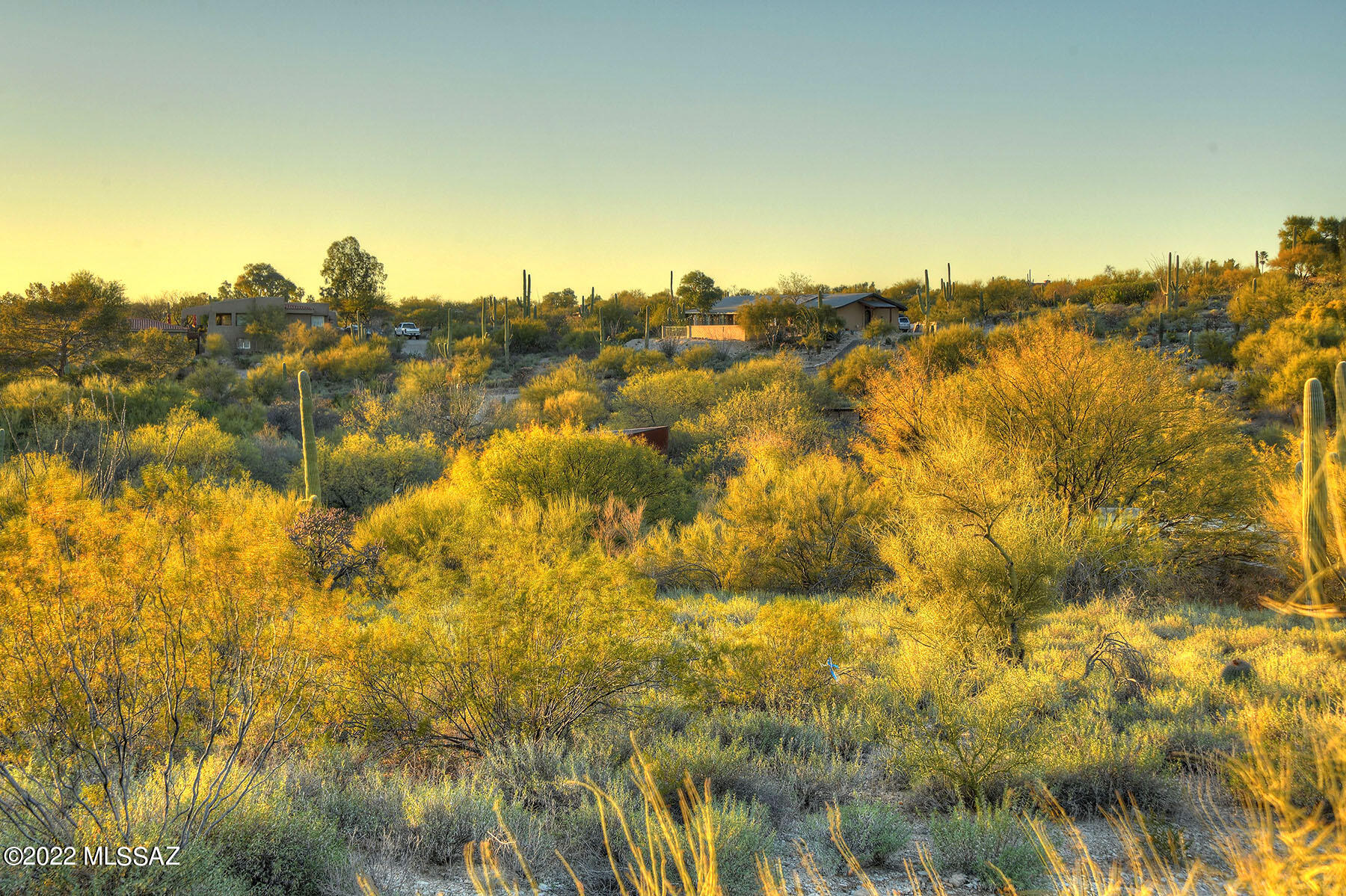 La Paloma Estates (53-68) - Land