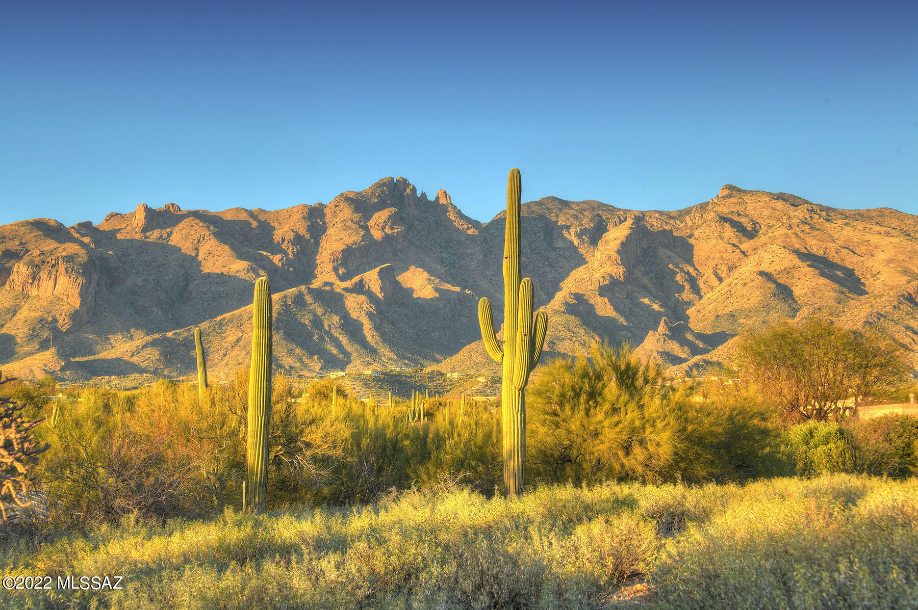 La Paloma Estates (53-68) - Land