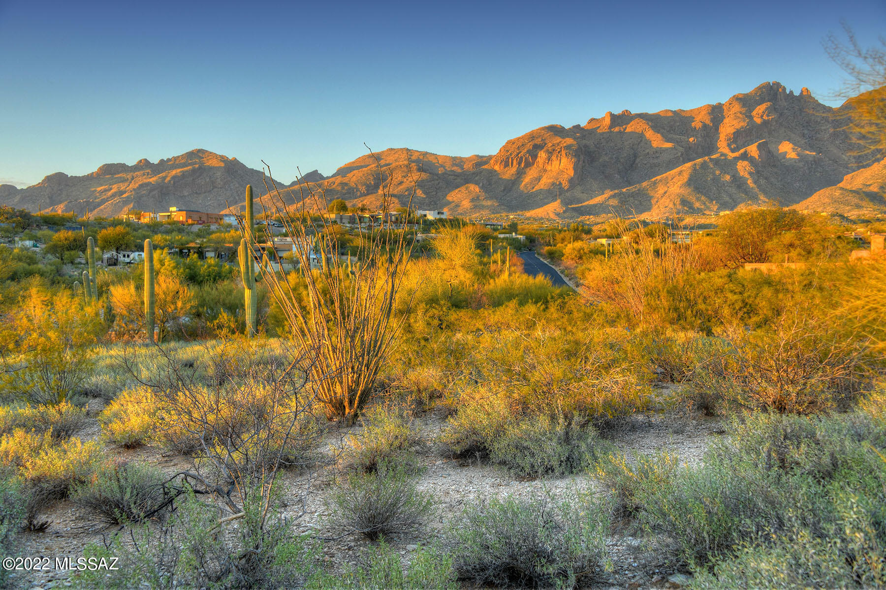 La Paloma Estates (53-68) - Land