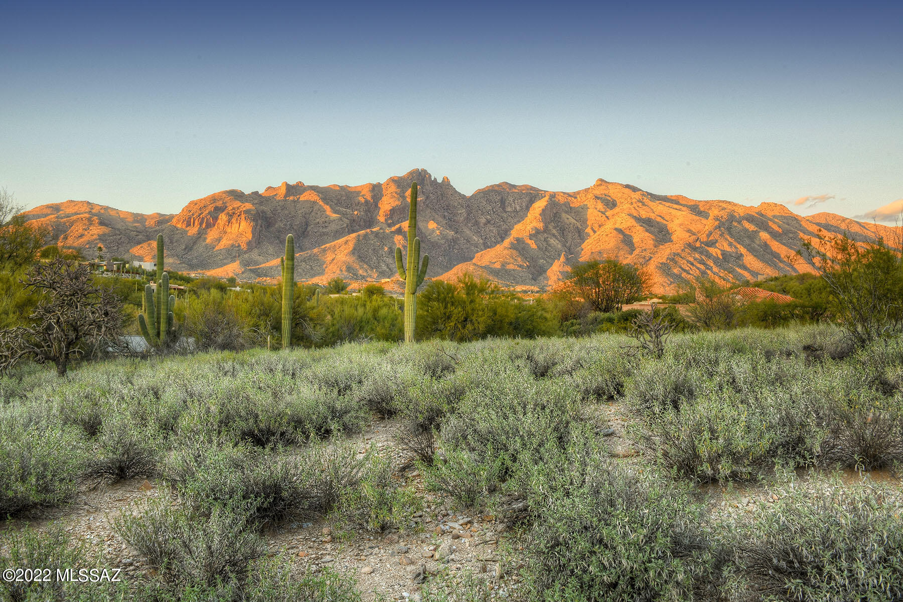 La Paloma Estates (53-68) - Land