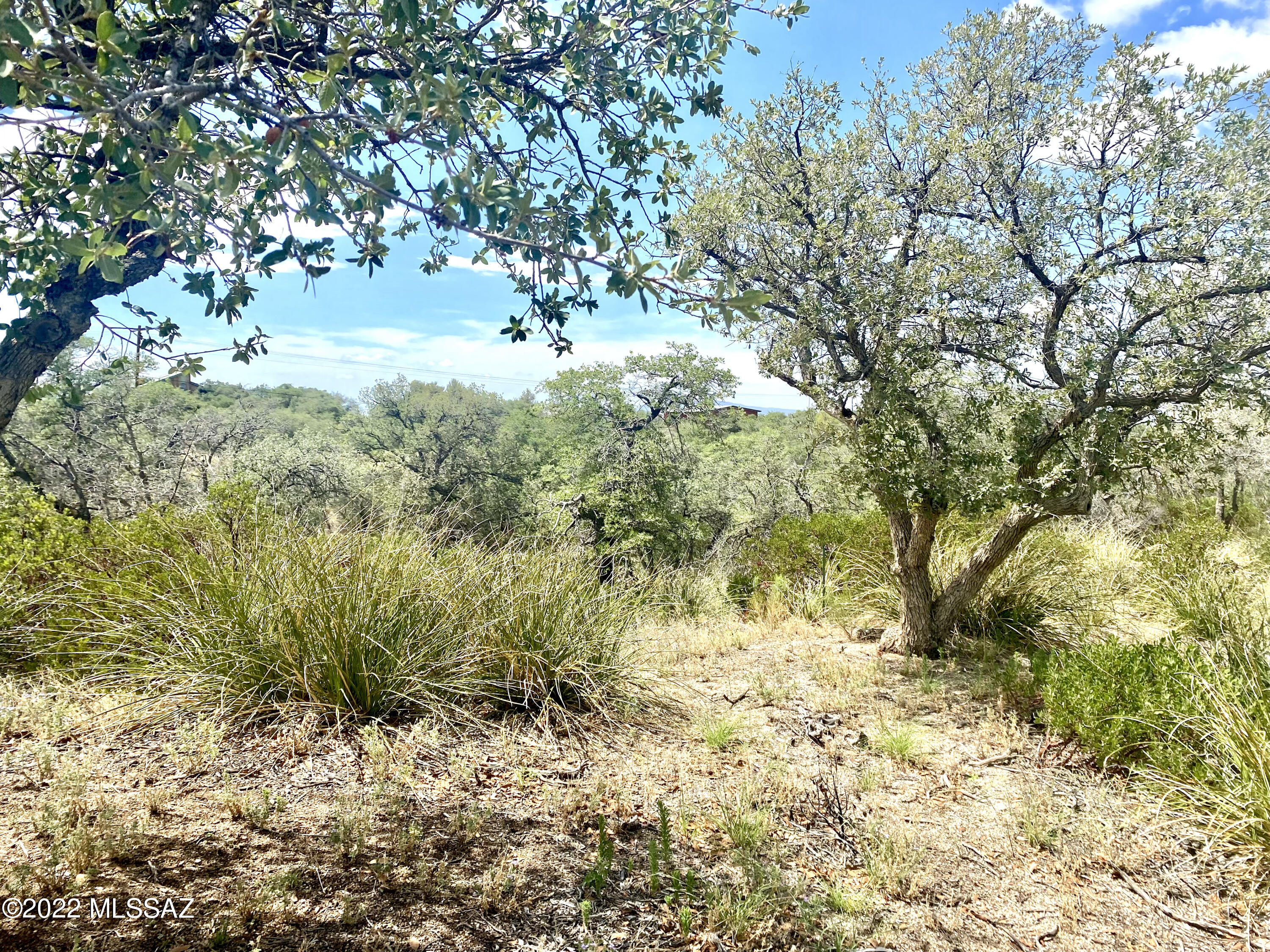 Out Of Pima County - Land