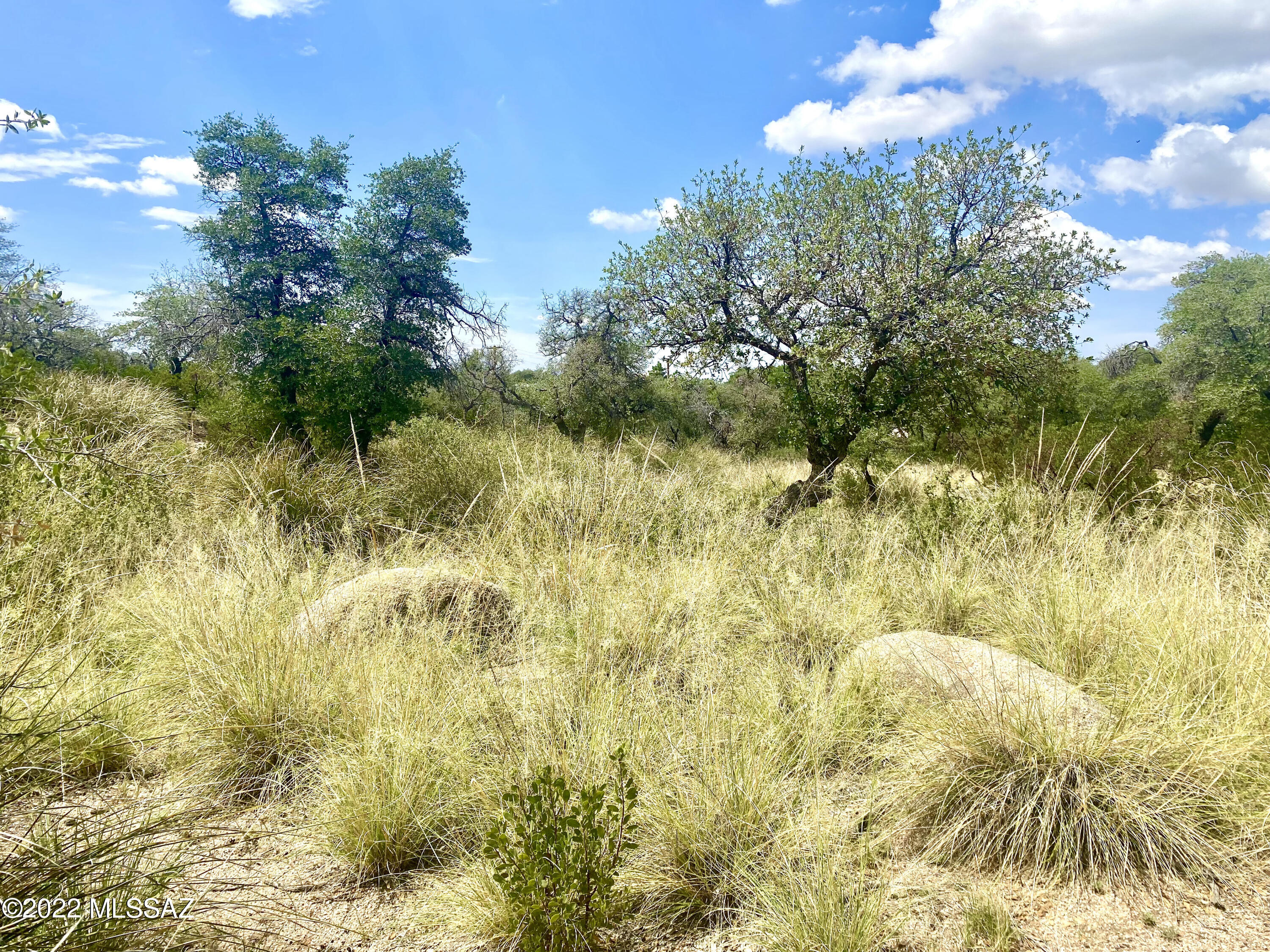Out Of Pima County - Land