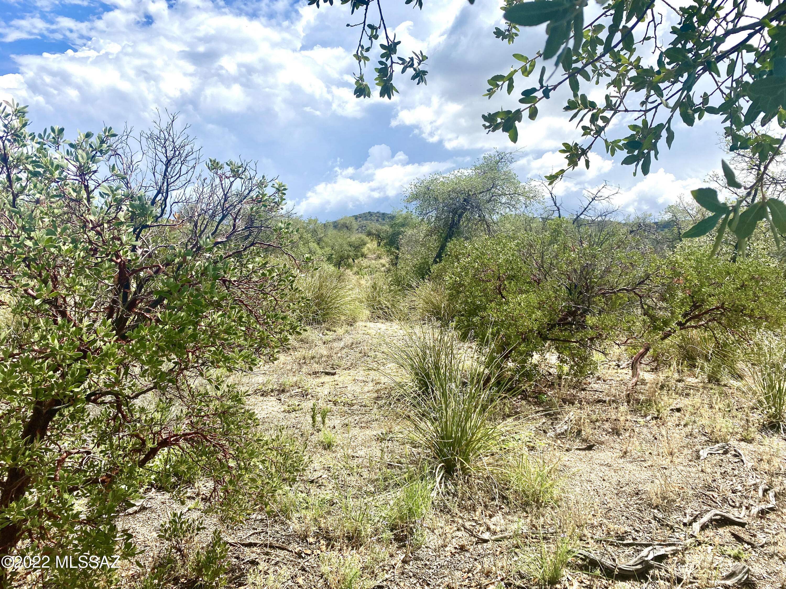 Out Of Pima County - Land