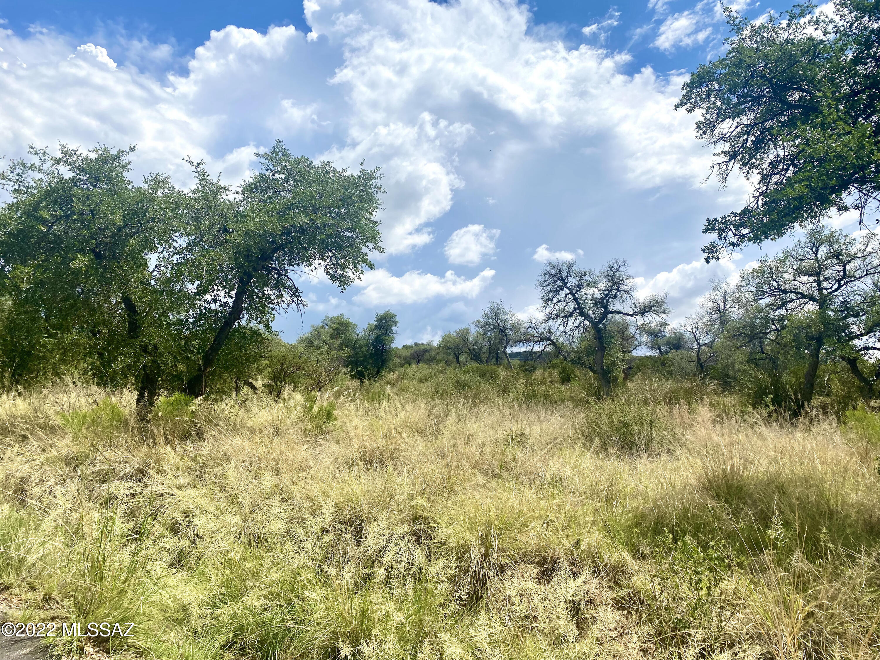 Out Of Pima County - Land