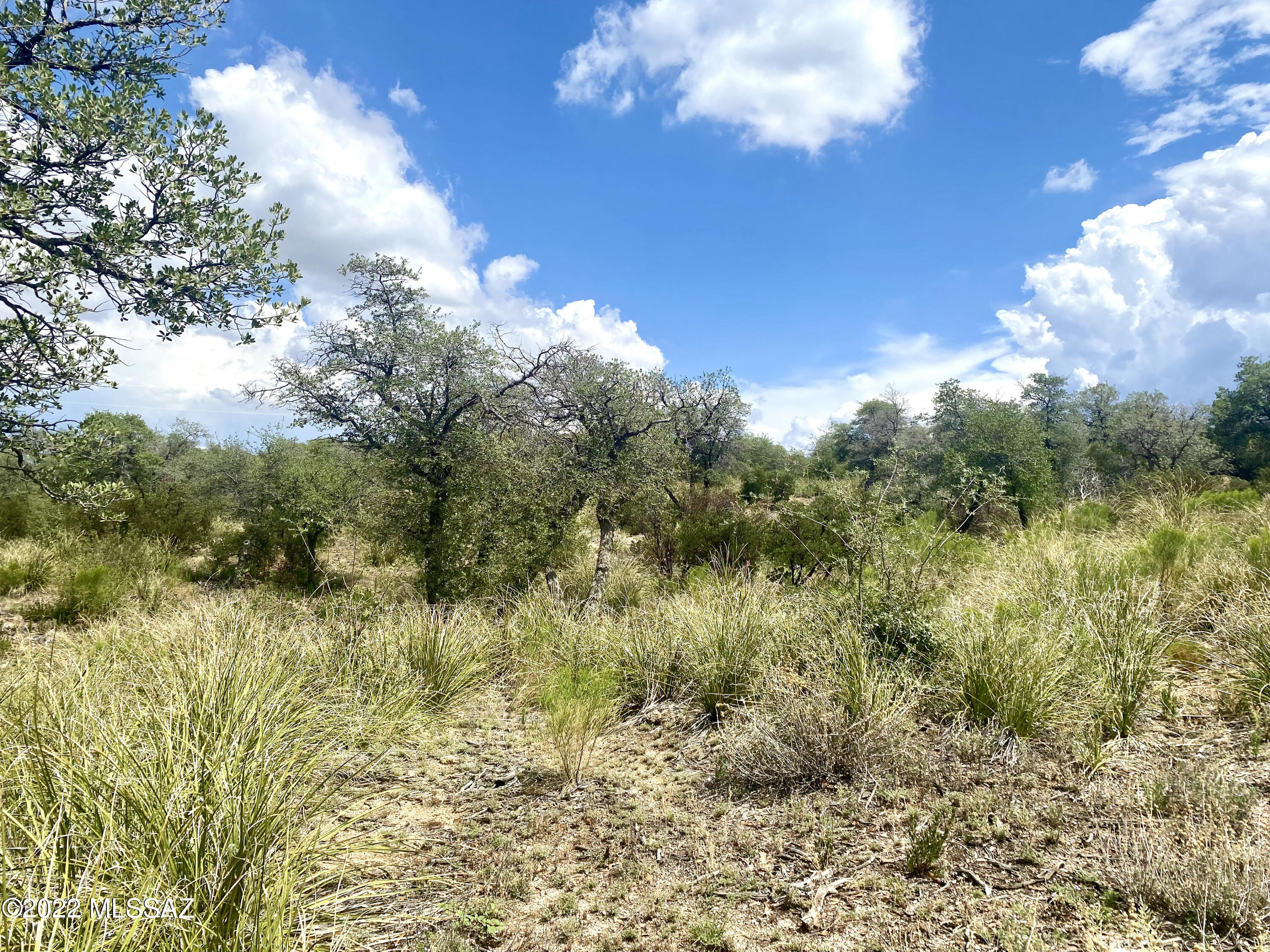 Out Of Pima County - Land