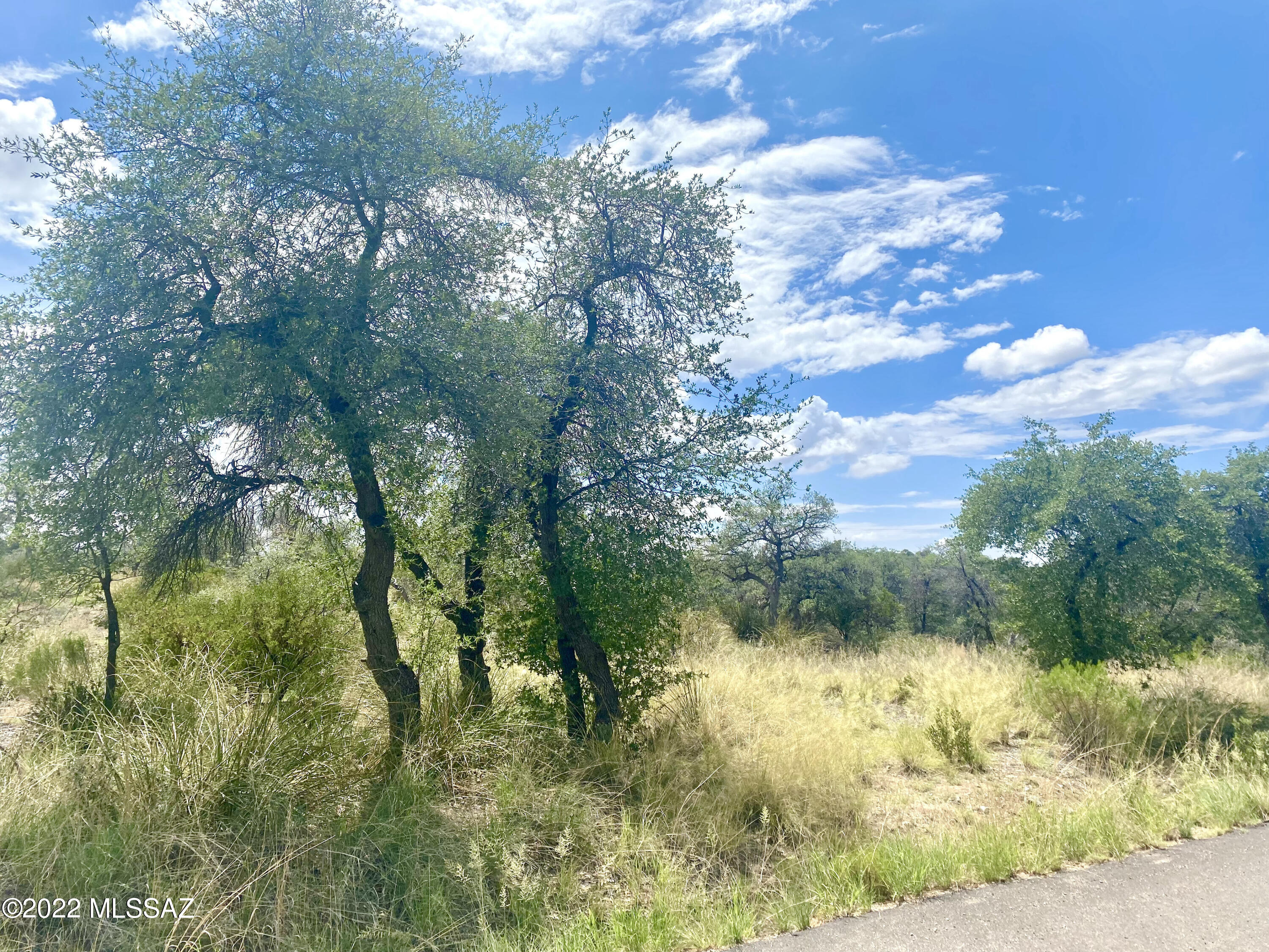 Out Of Pima County - Land