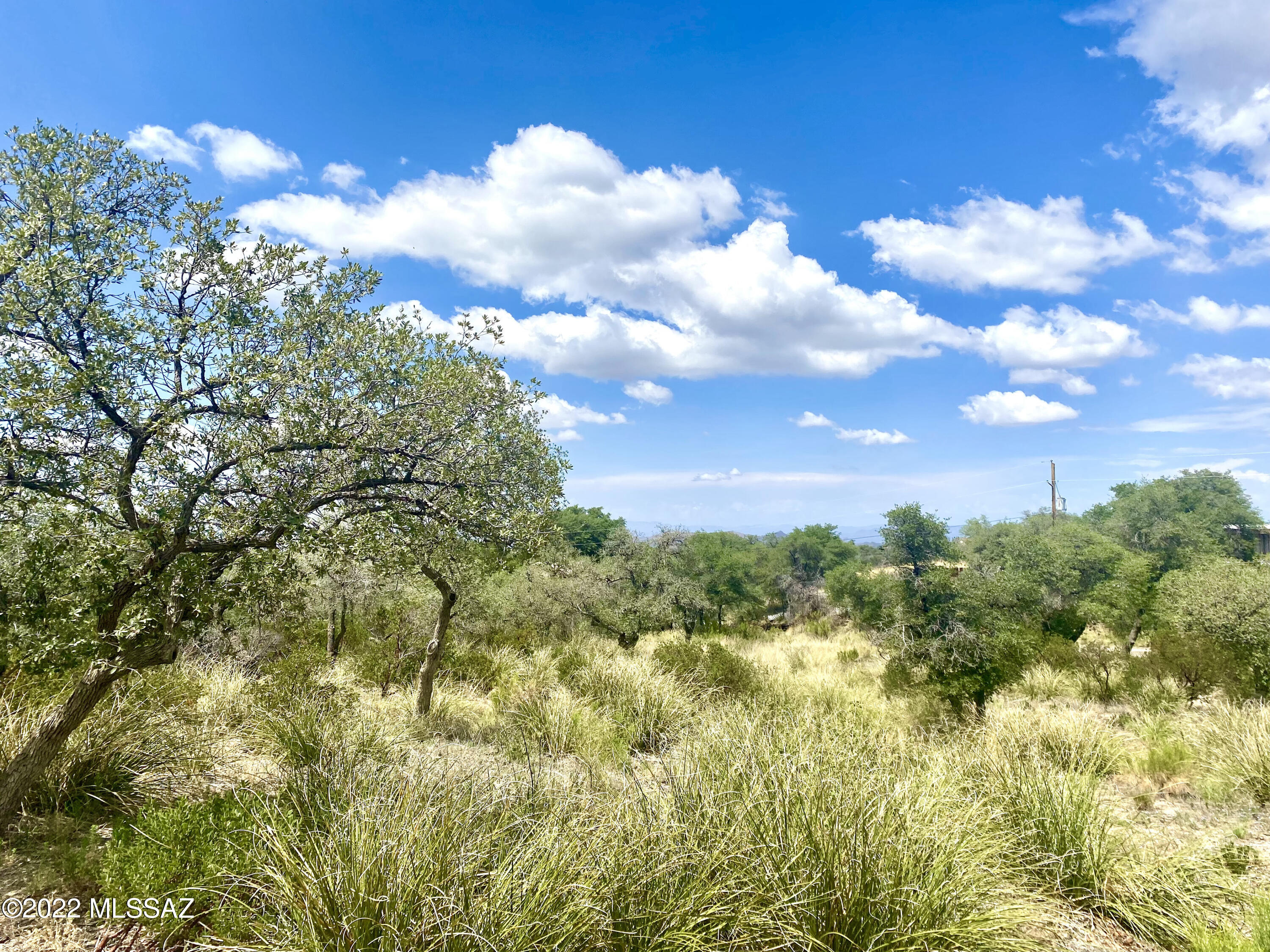 Out Of Pima County - Land