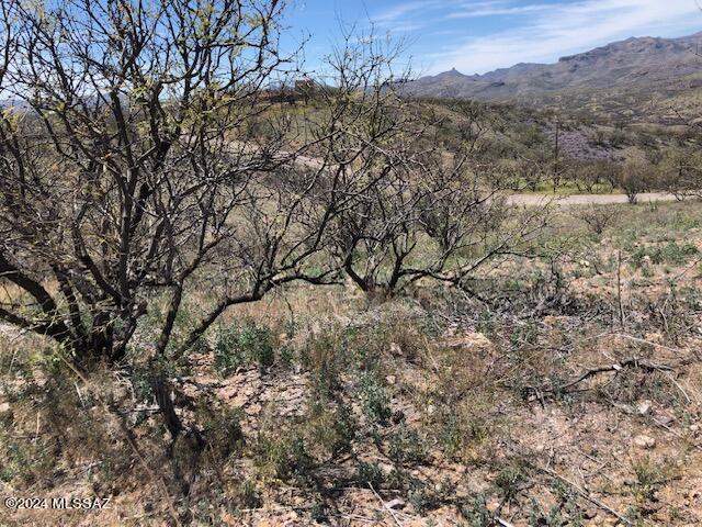 Rio Rico Ranchettes - Land