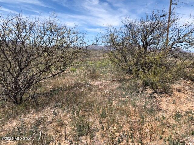 Rio Rico Ranchettes - Land