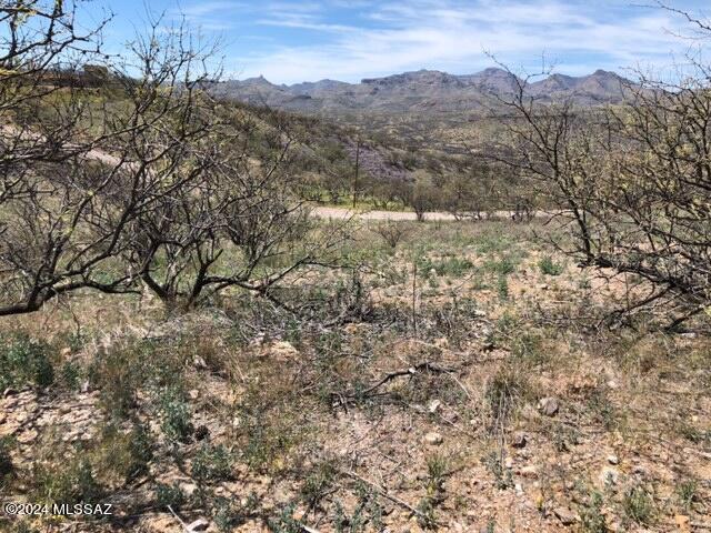 Rio Rico Ranchettes - Land