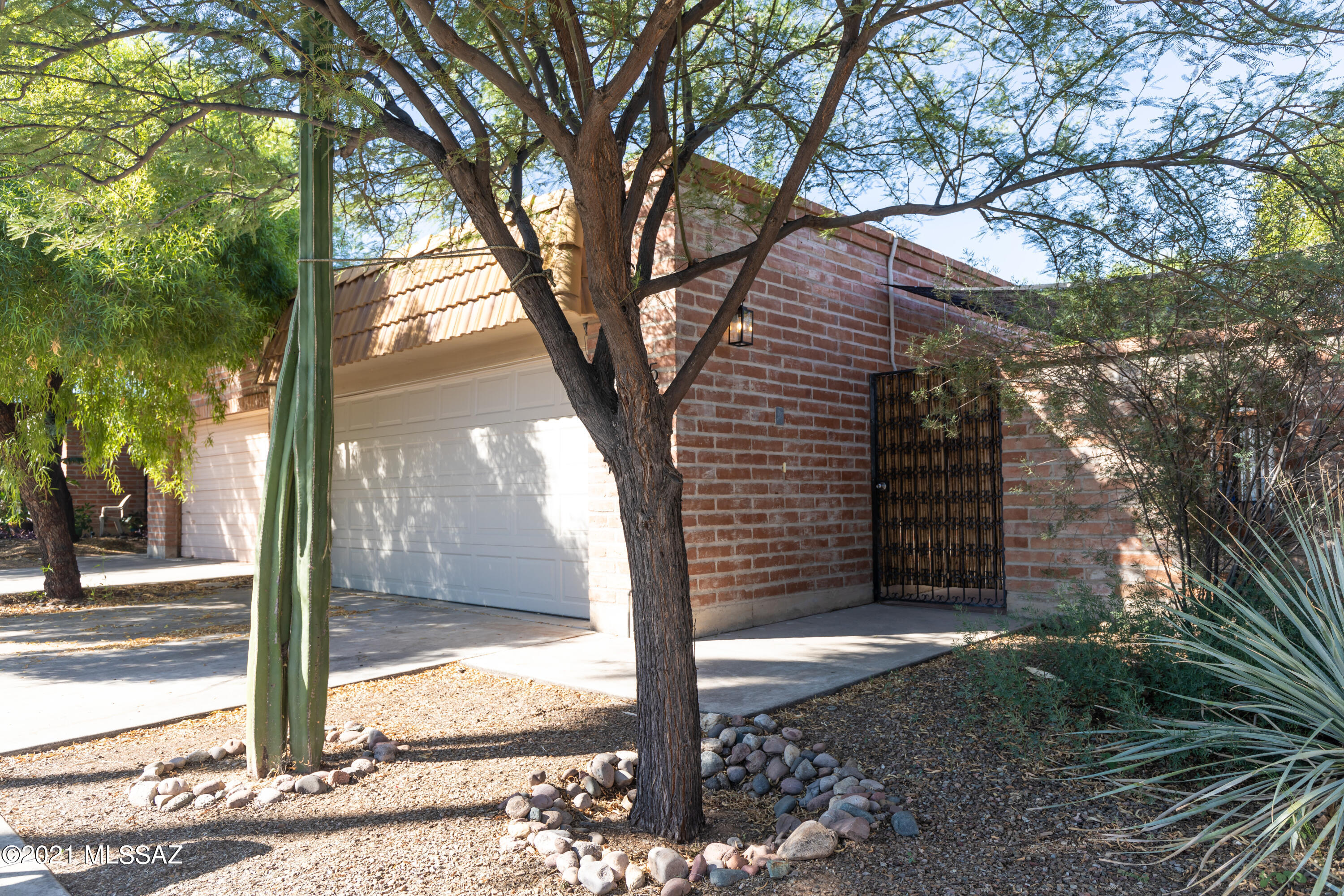 Limberlost Terr Townhouses - Residential