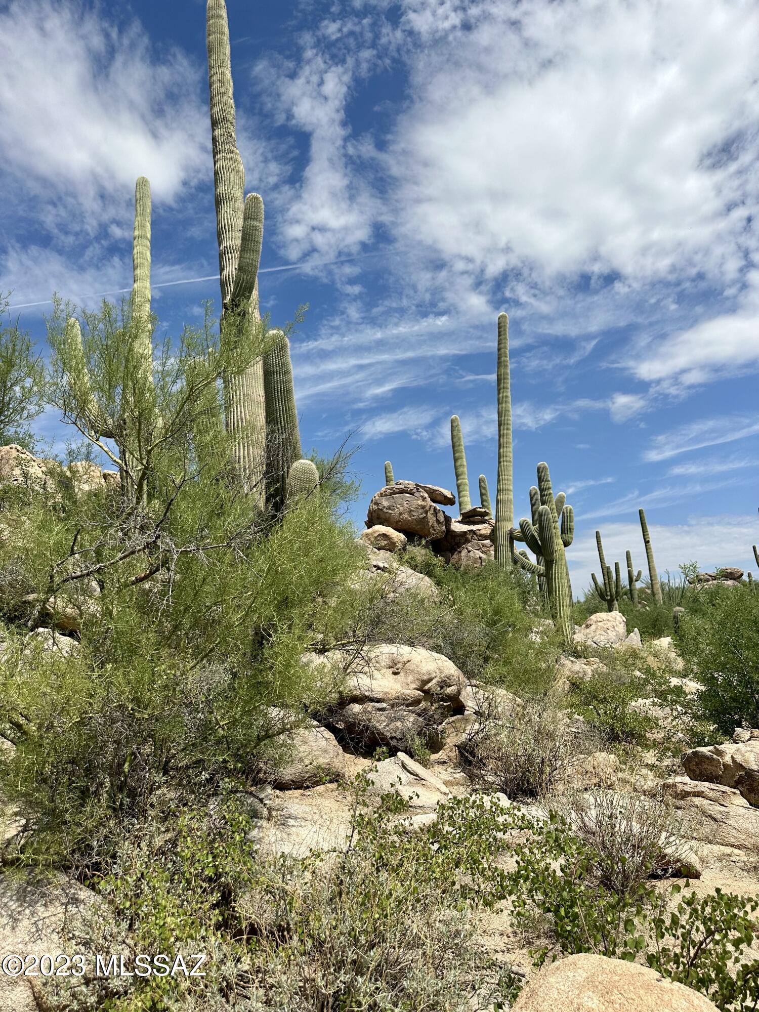 This lot offers a picturesque location, perched high on the hilltop, providing breathtaking Catalina Mtn views and a commanding vantage point over the Tucson valley.