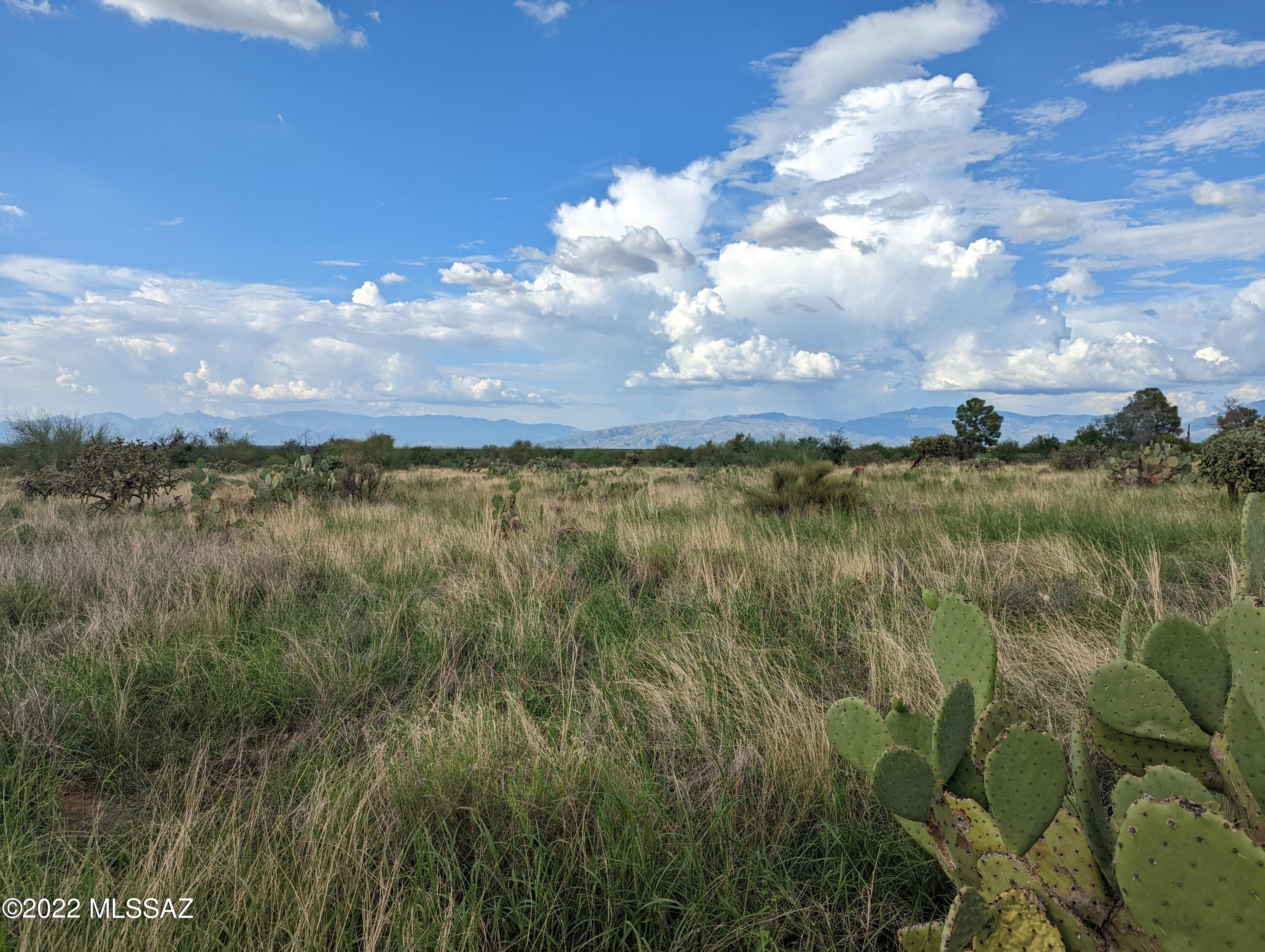 New Tucson Unit NO. 4 (1-203) - Land