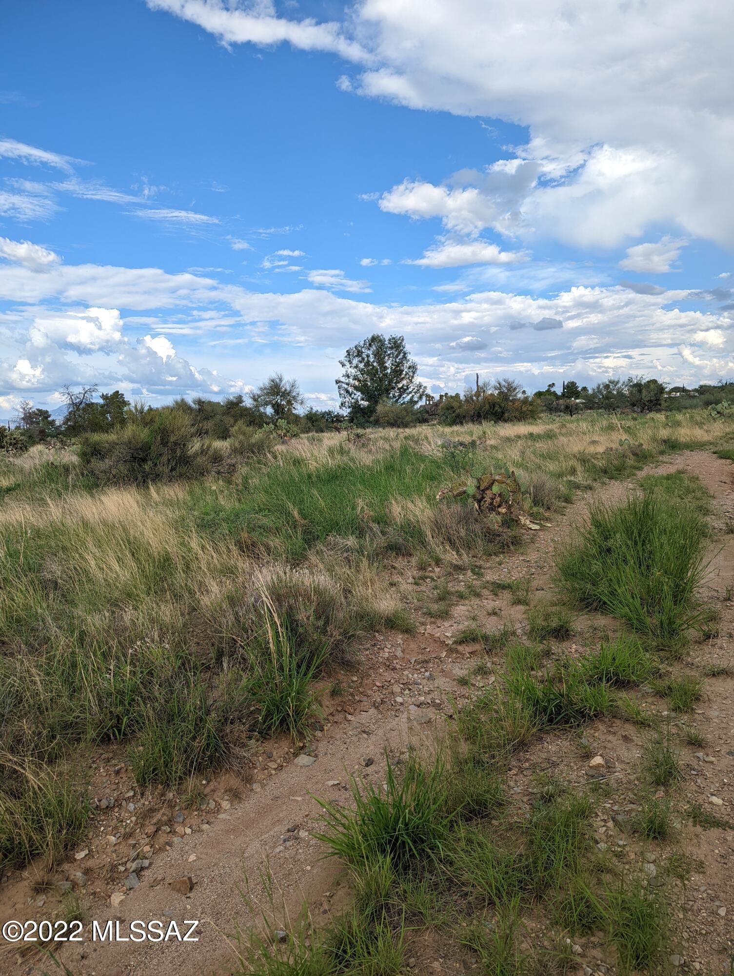 New Tucson Unit NO. 4 (1-203) - Land