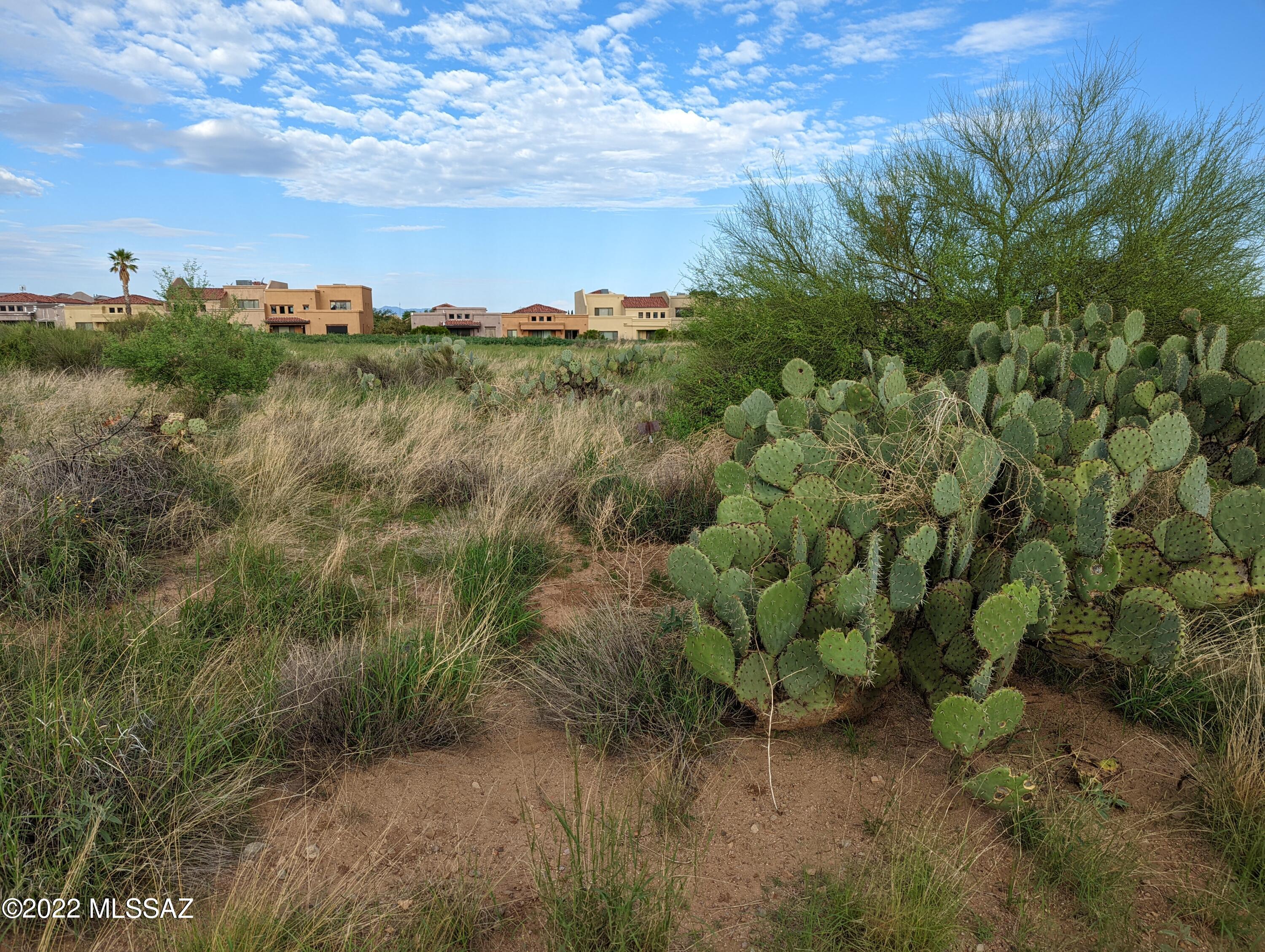 New Tucson Unit NO. 4 (1-203) - Land