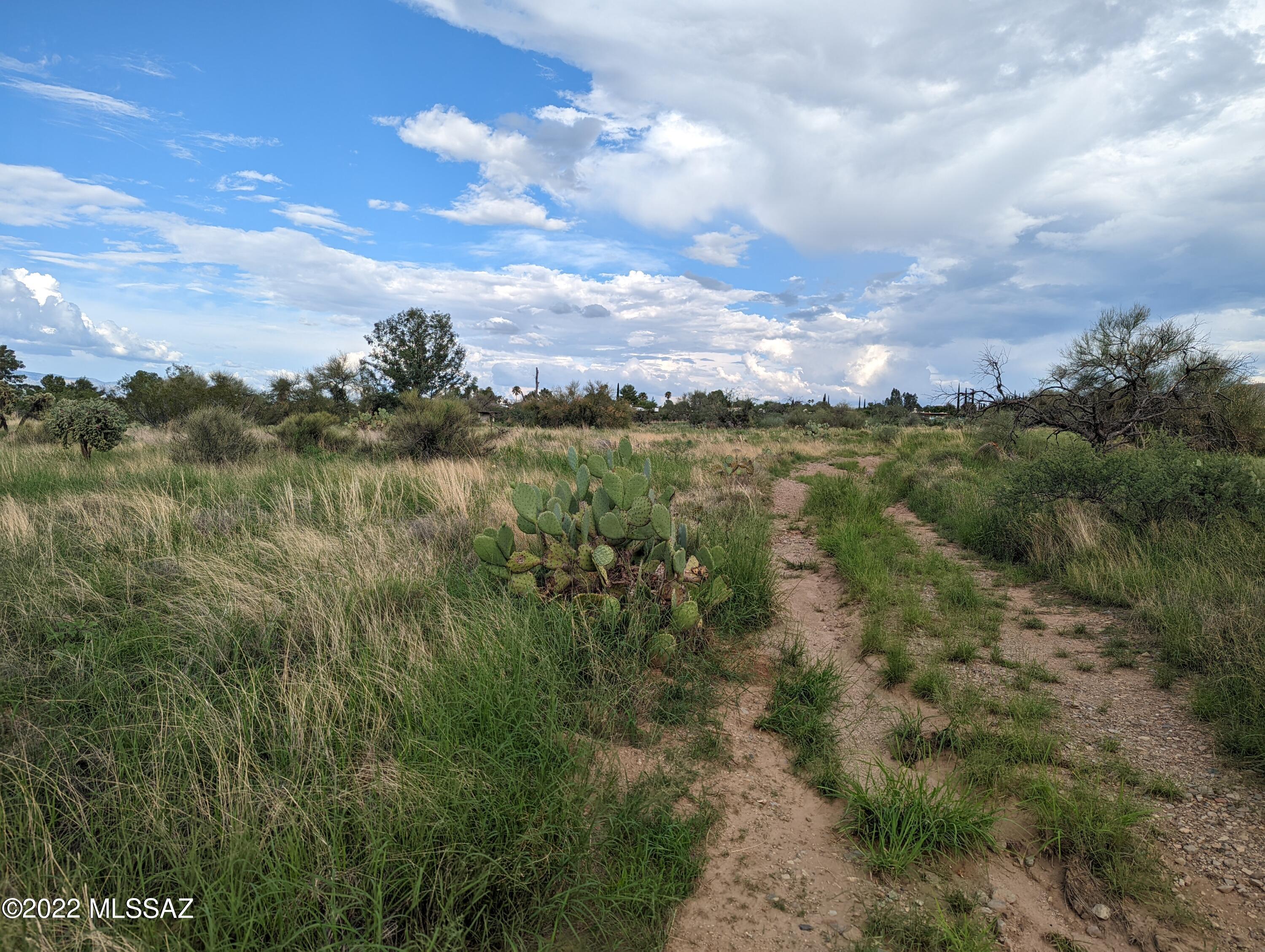 New Tucson Unit NO. 4 (1-203) - Land