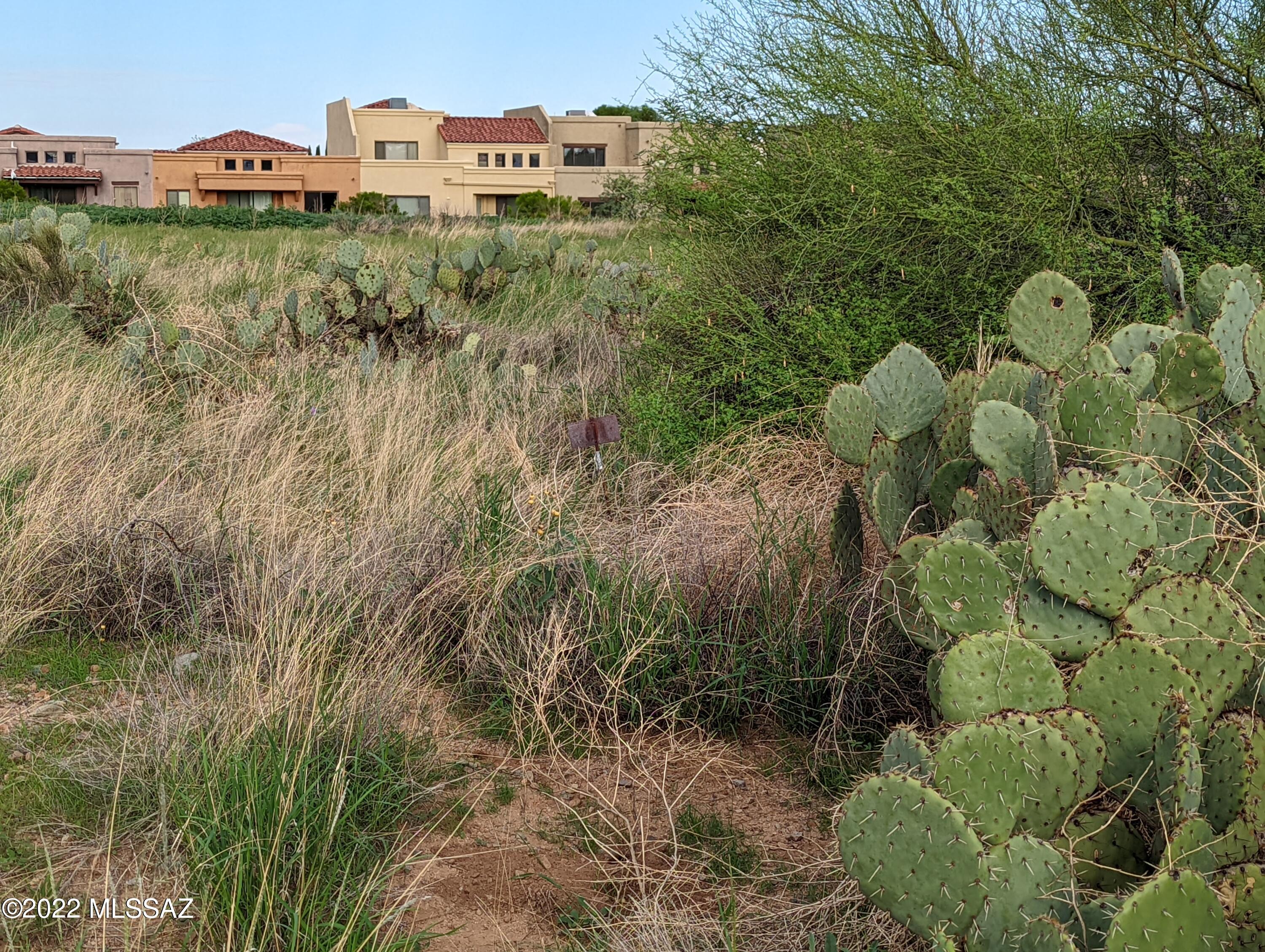New Tucson Unit NO. 4 (1-203) - Land