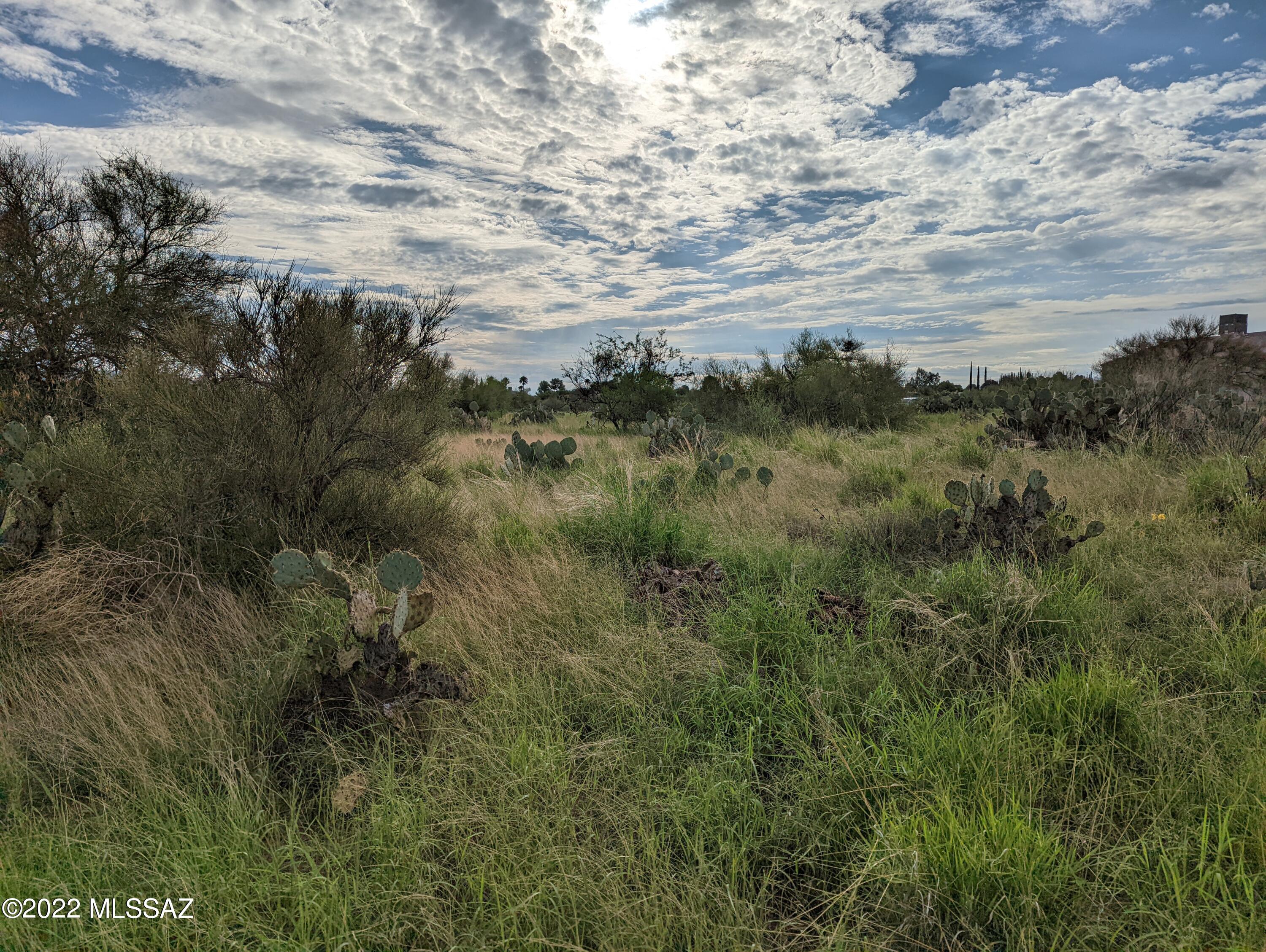 New Tucson Unit NO. 4 (1-203) - Land