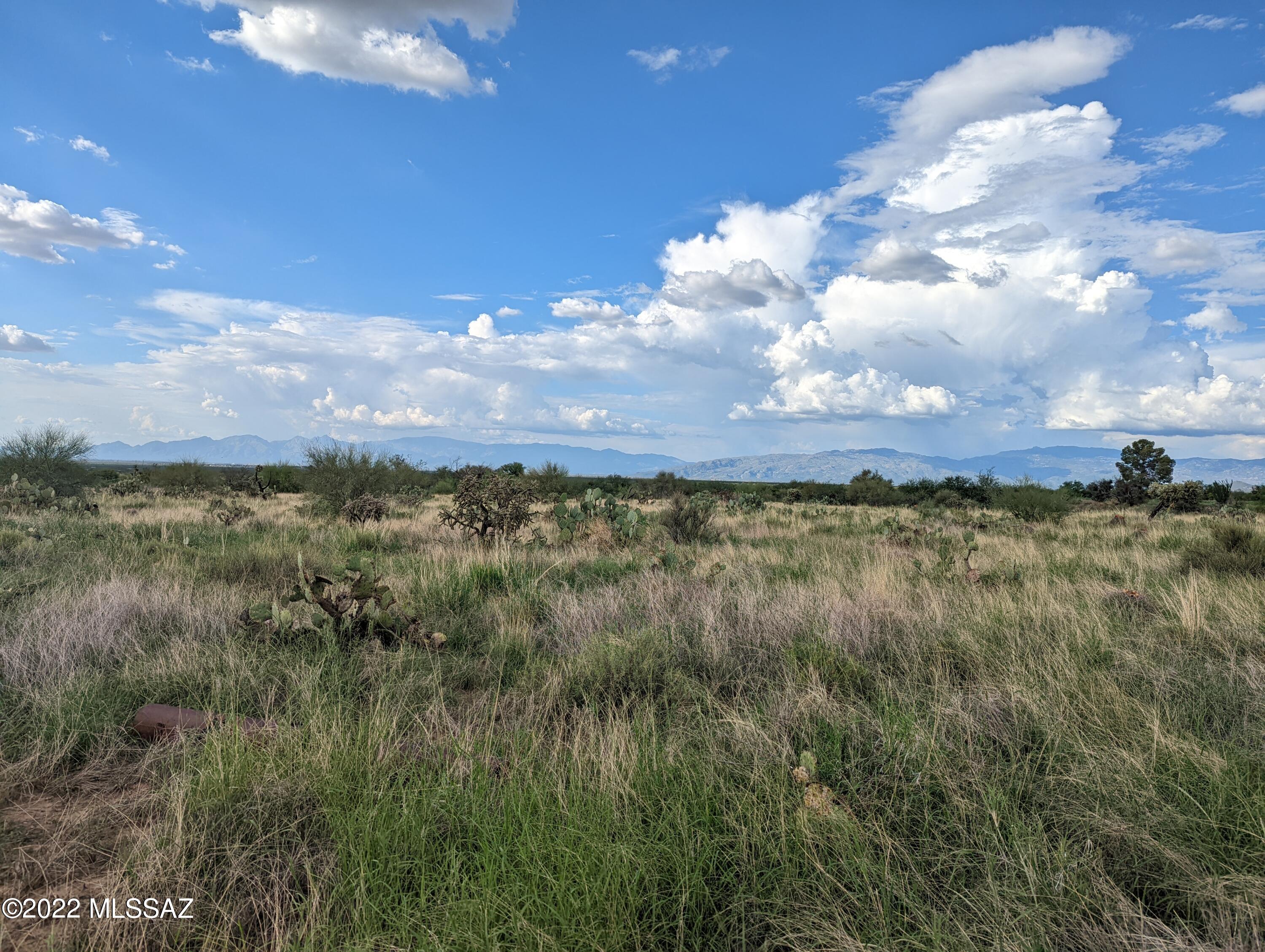 New Tucson Unit NO. 4 (1-203) - Land