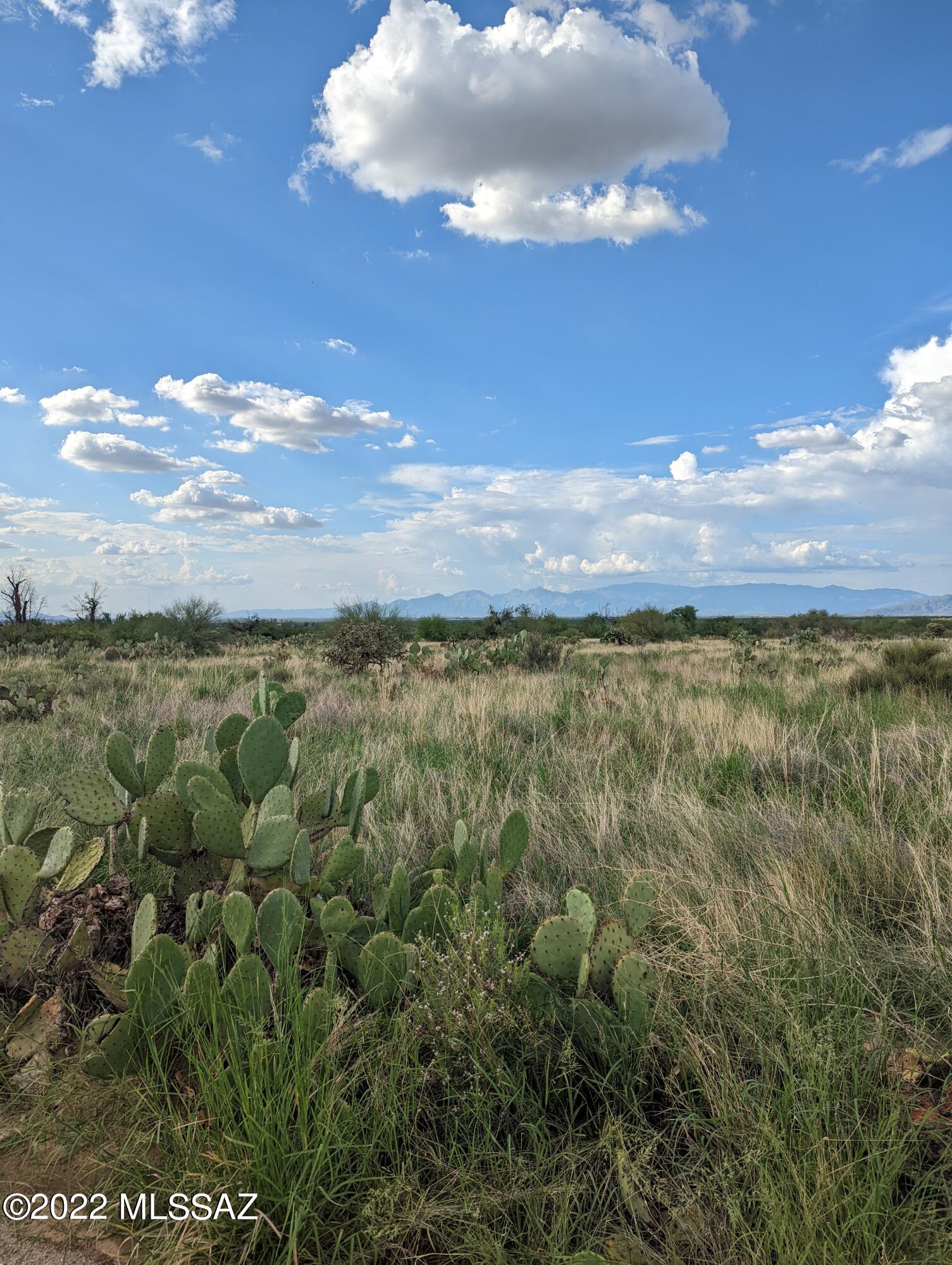 New Tucson Unit NO. 4 (1-203) - Land