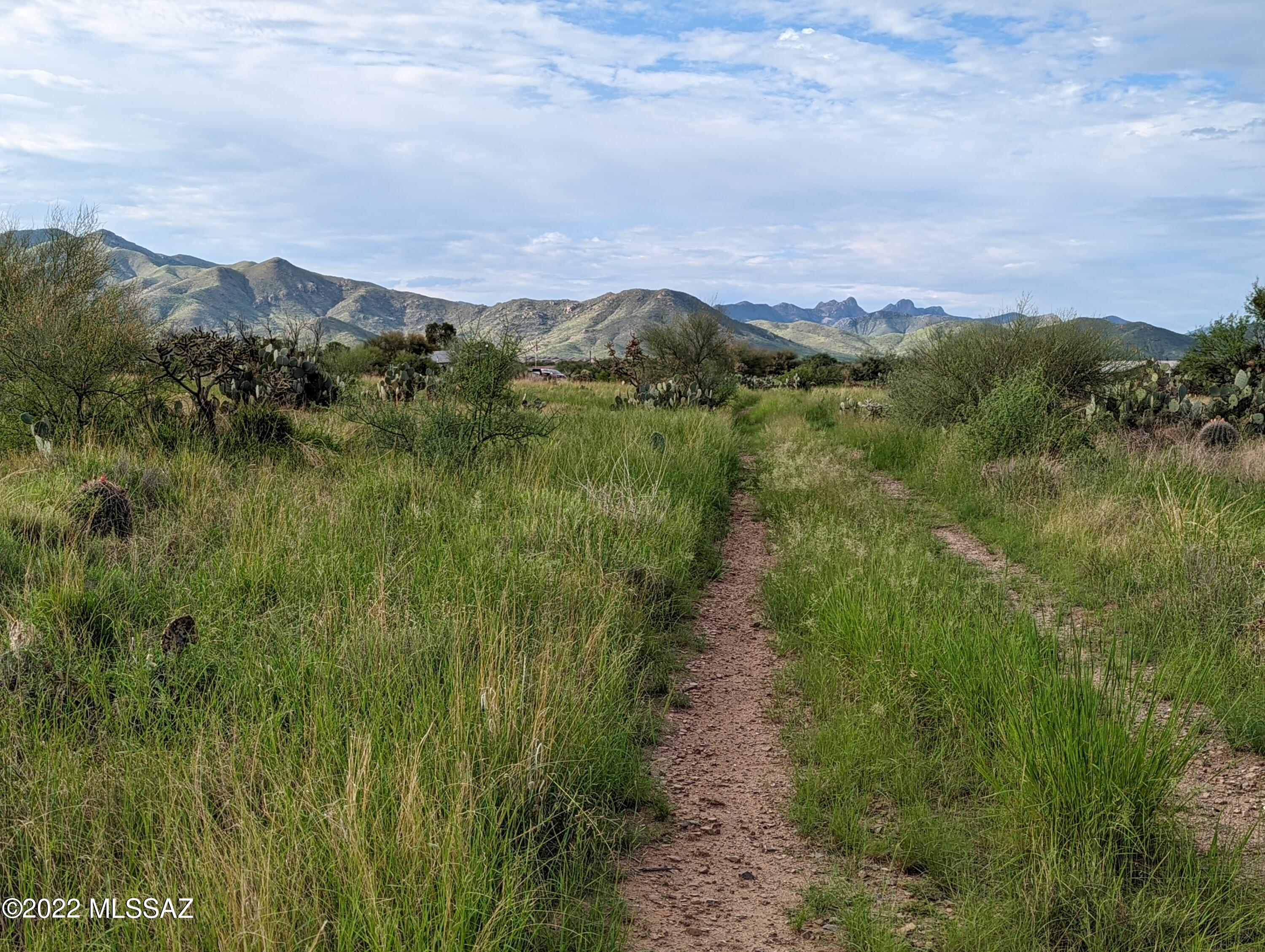 New Tucson Unit NO. 4 (1-203) - Land