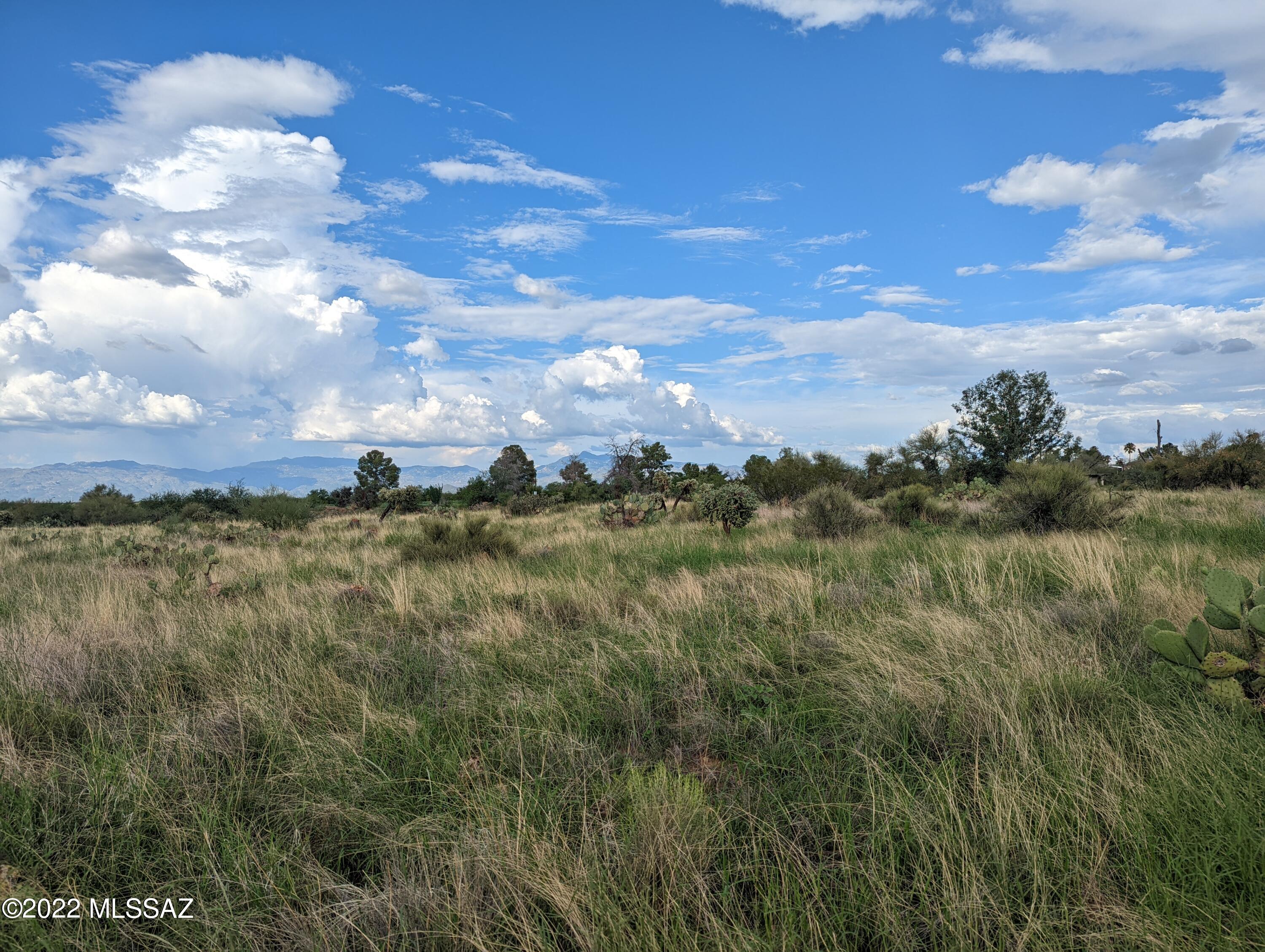 New Tucson Unit NO. 4 (1-203) - Land