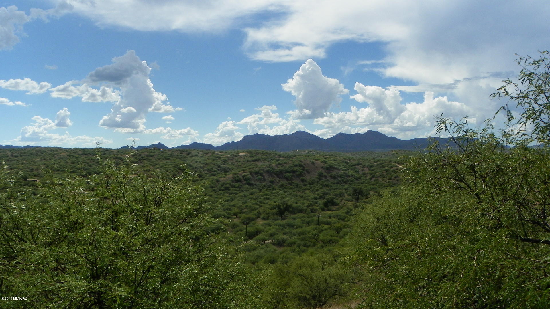 Rio Rico Estates 13 - Land