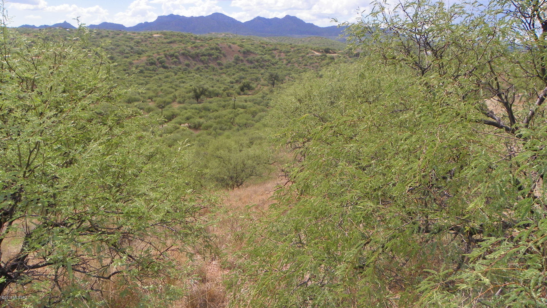 Rio Rico Estates 13 - Land