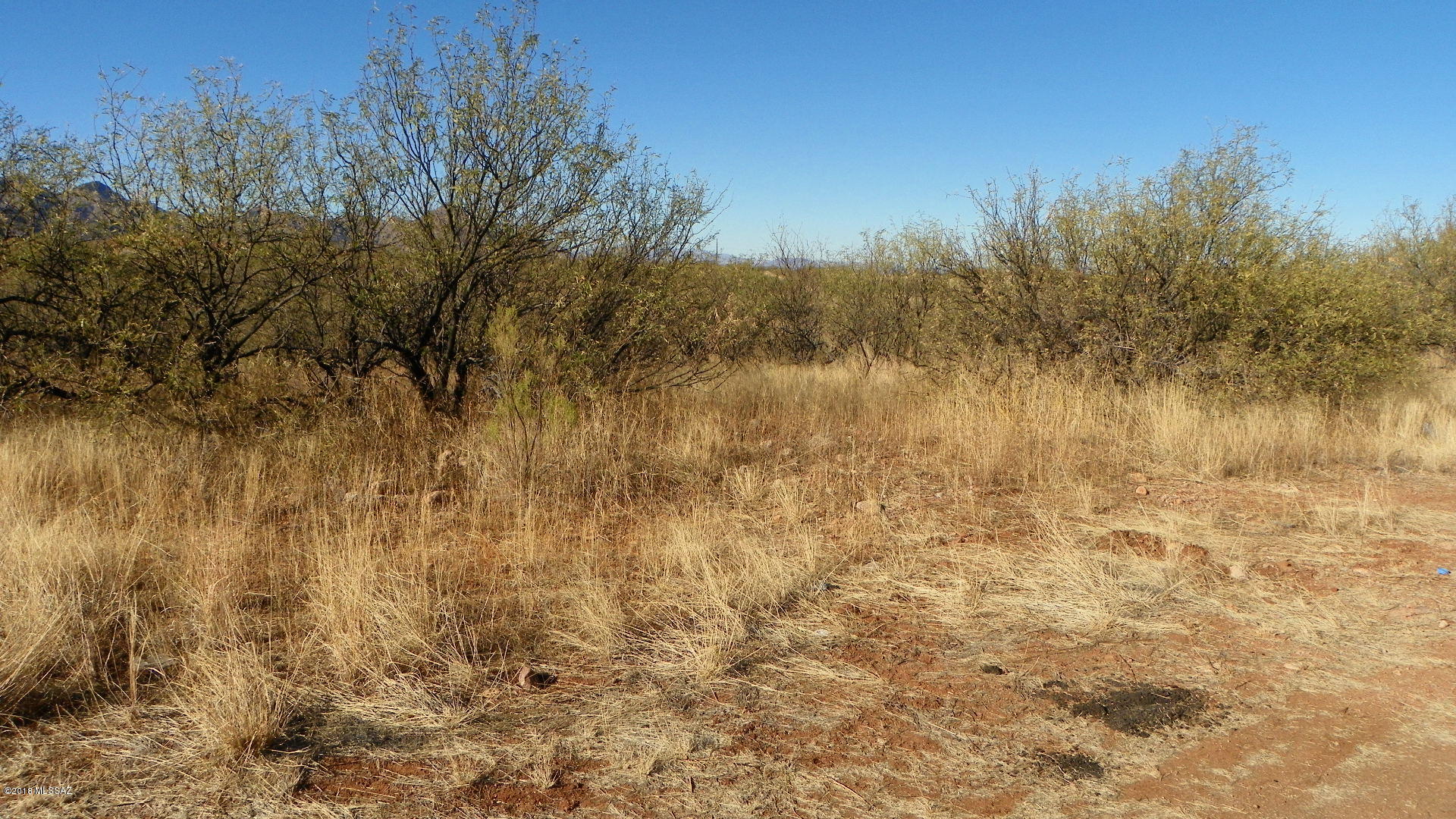 Rio Rico Ranchettes 10 - Land