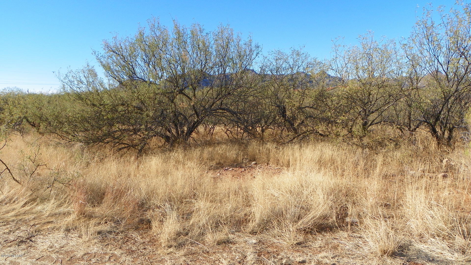 Rio Rico Ranchettes 10 - Land