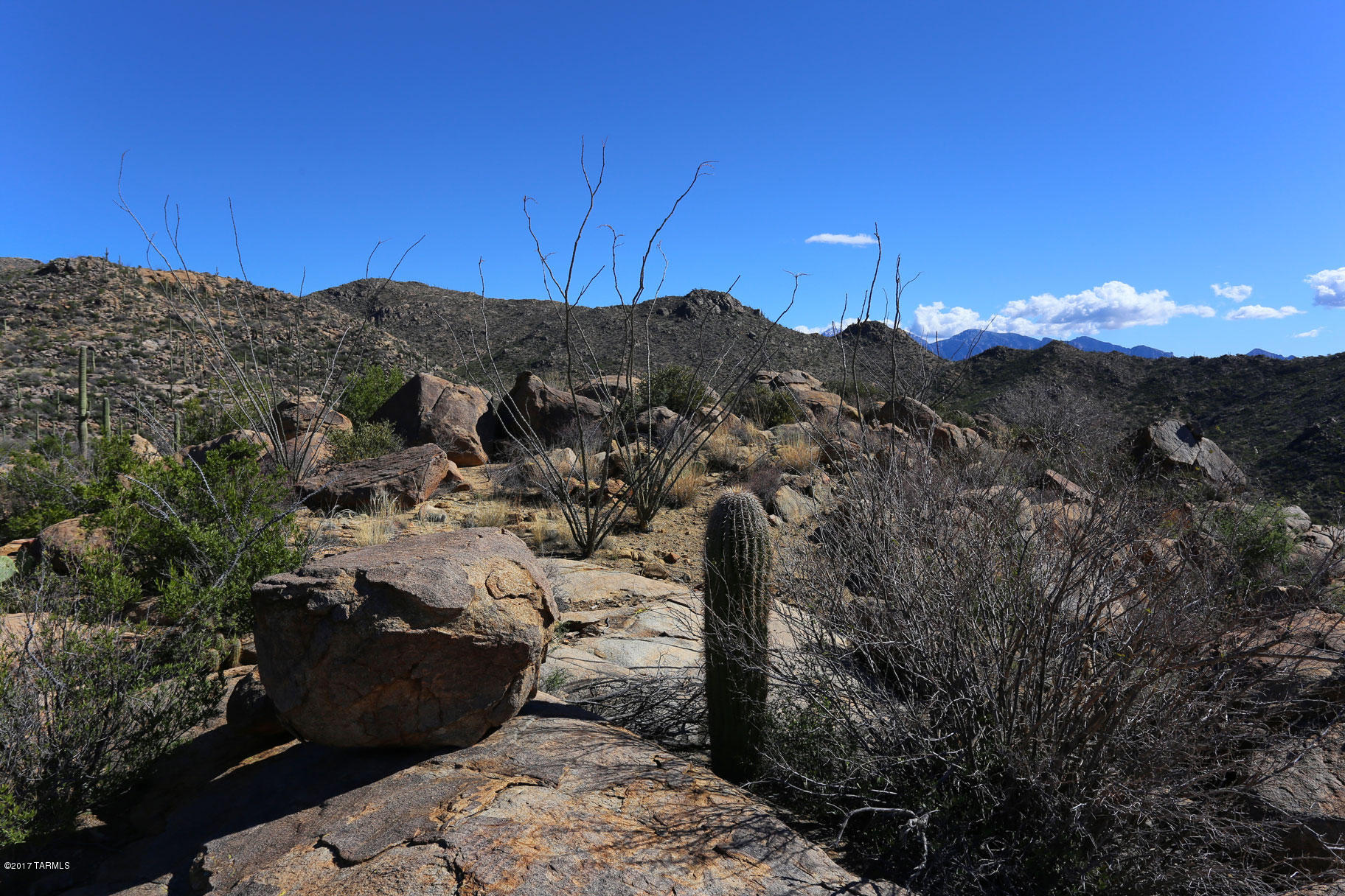 Canyon Pass V At Dove Mountain (280-331) - Land