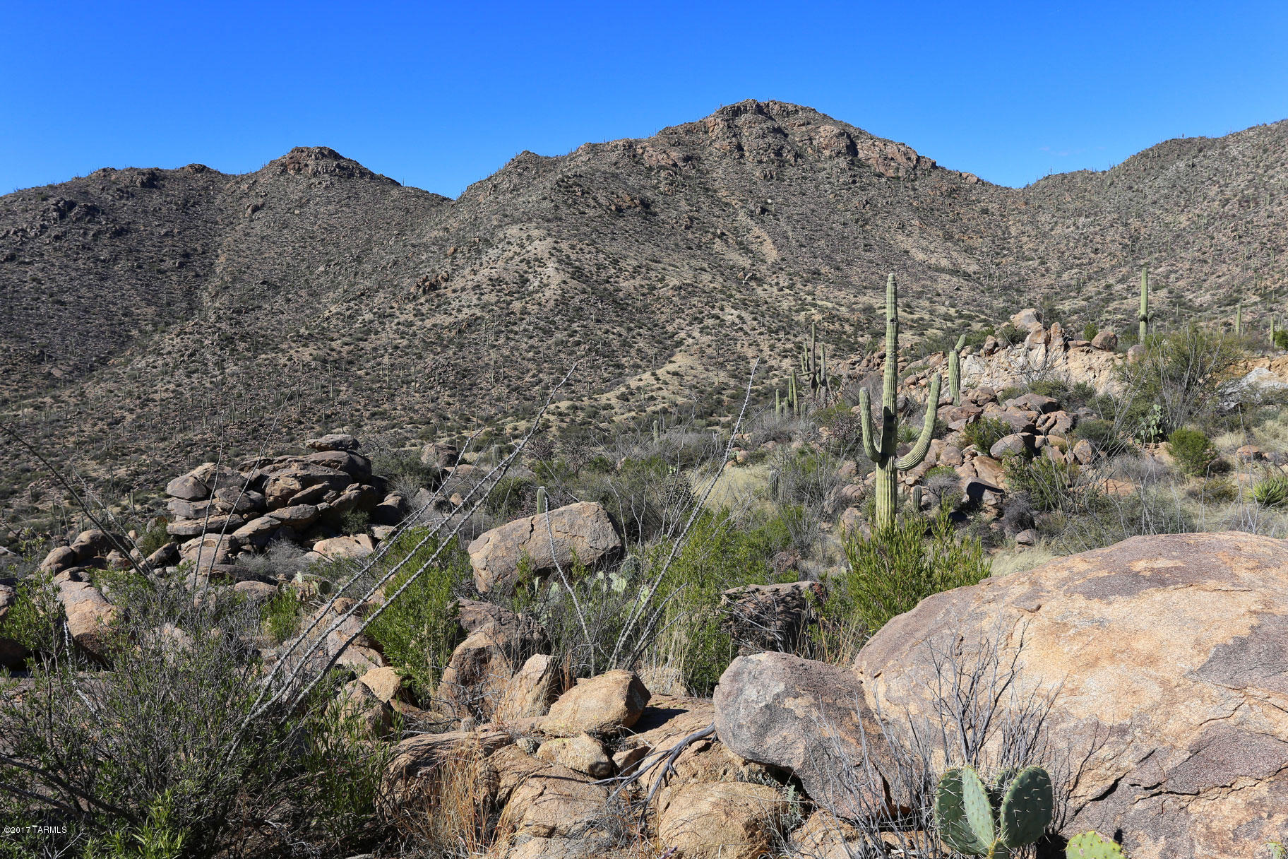 Canyon Pass V At Dove Mountain (280-331) - Land