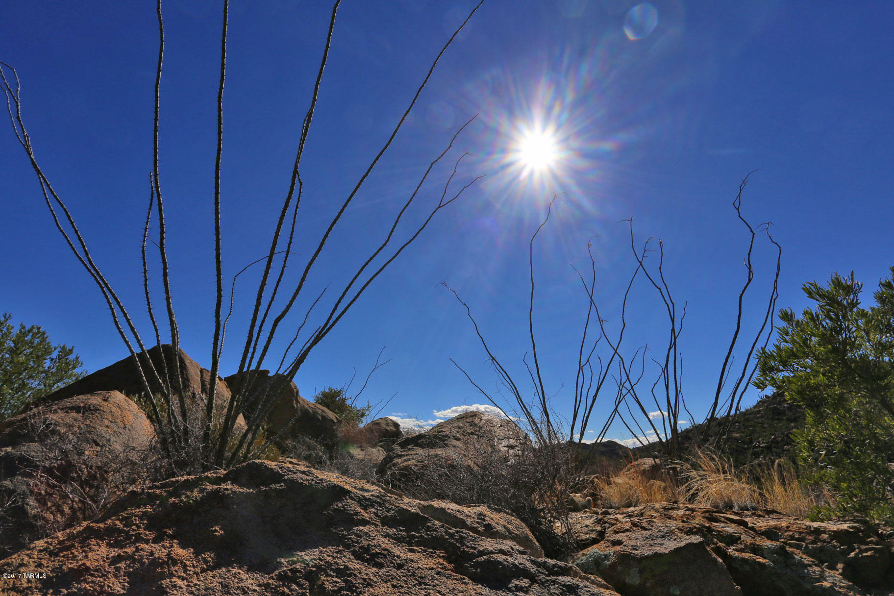Canyon Pass V At Dove Mountain (280-331) - Land