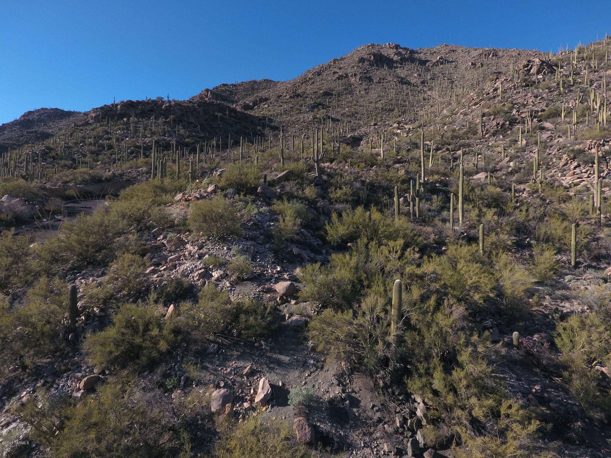 Canyon Pass V At Dove Mountain (280-331) - Land